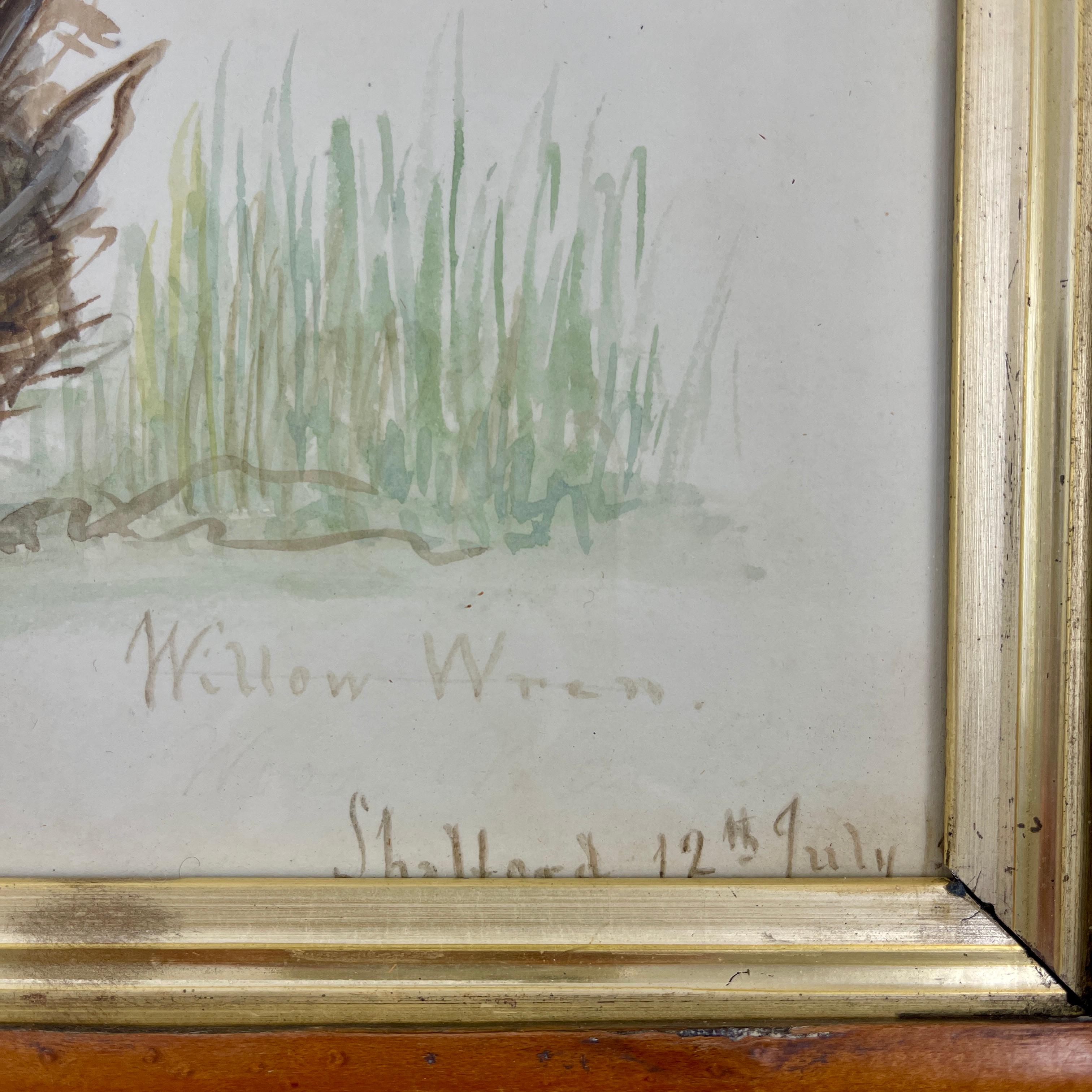 English Regency Period Original Watercolor Fruitwood Frame, a Willow Wrens Nest For Sale 1