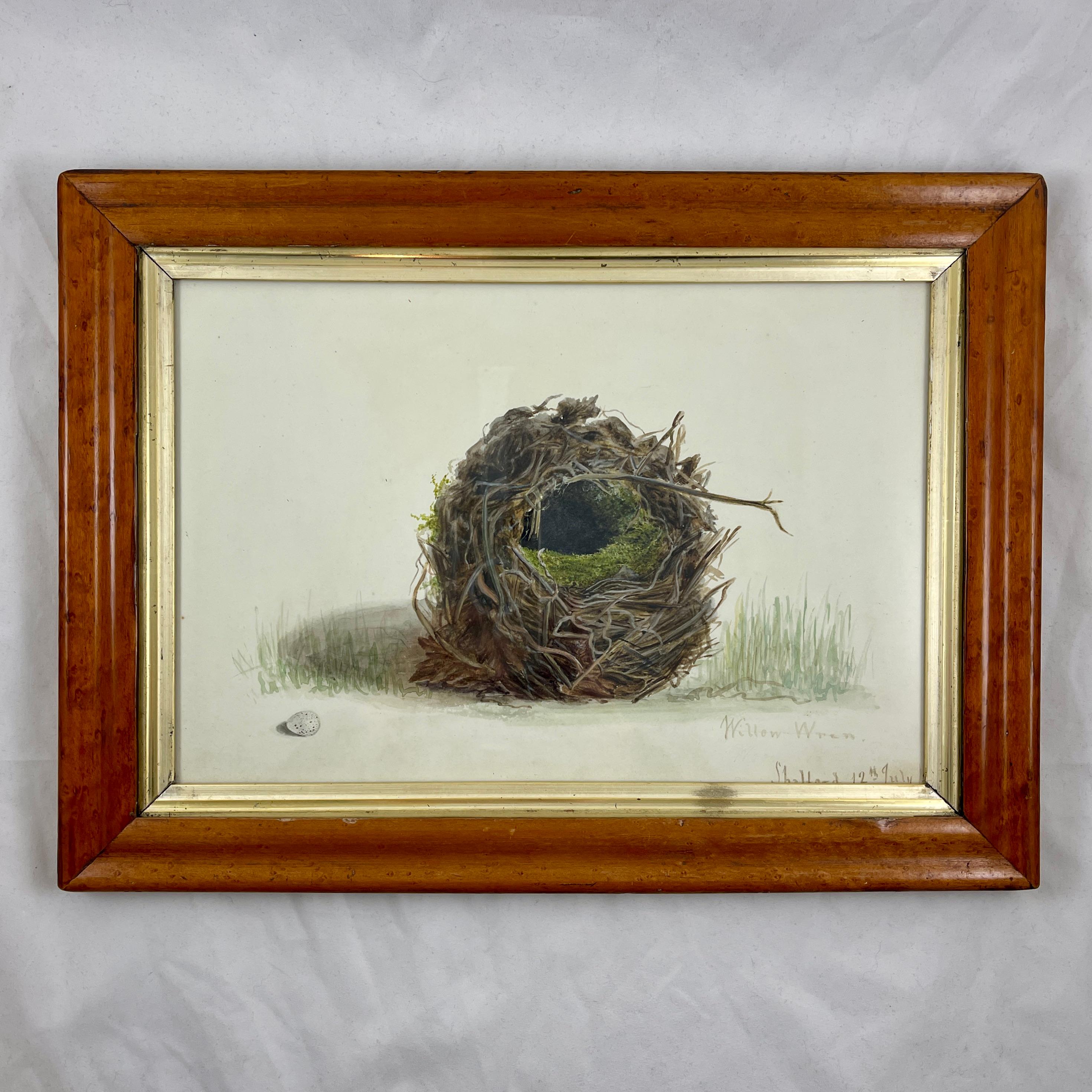English Regency Period Original Watercolor Fruitwood Frame, a Willow Wrens Nest For Sale 2
