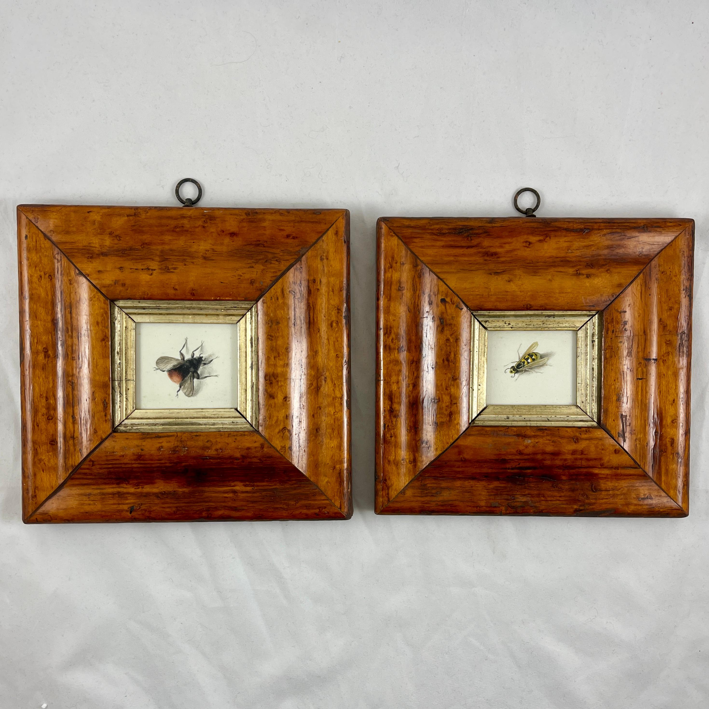English Regency Period Original Watercolor Fruitwood Frame, a Yellow Wasp Study  For Sale 9