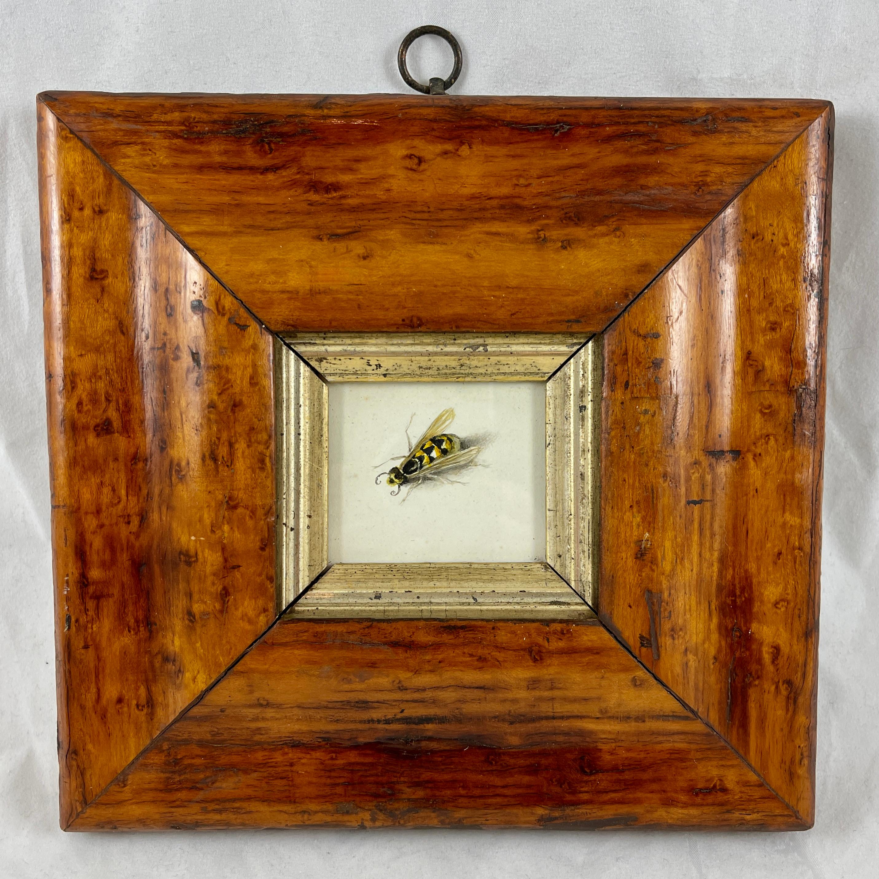 Beveled English Regency Period Original Watercolor Fruitwood Frame, a Yellow Wasp Study  For Sale