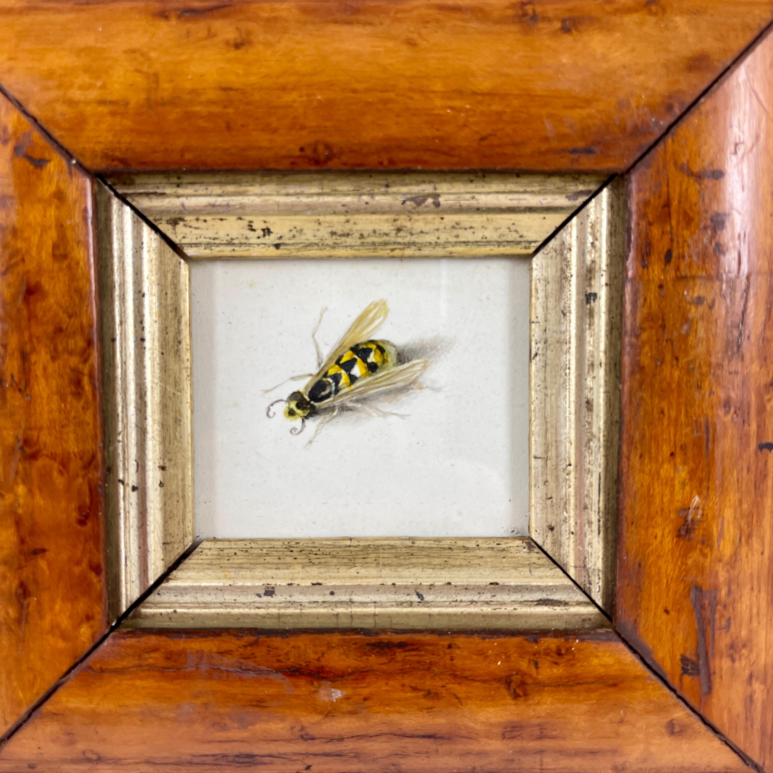 English Regency Period Original Watercolor Fruitwood Frame, a Yellow Wasp Study  In Good Condition For Sale In Philadelphia, PA