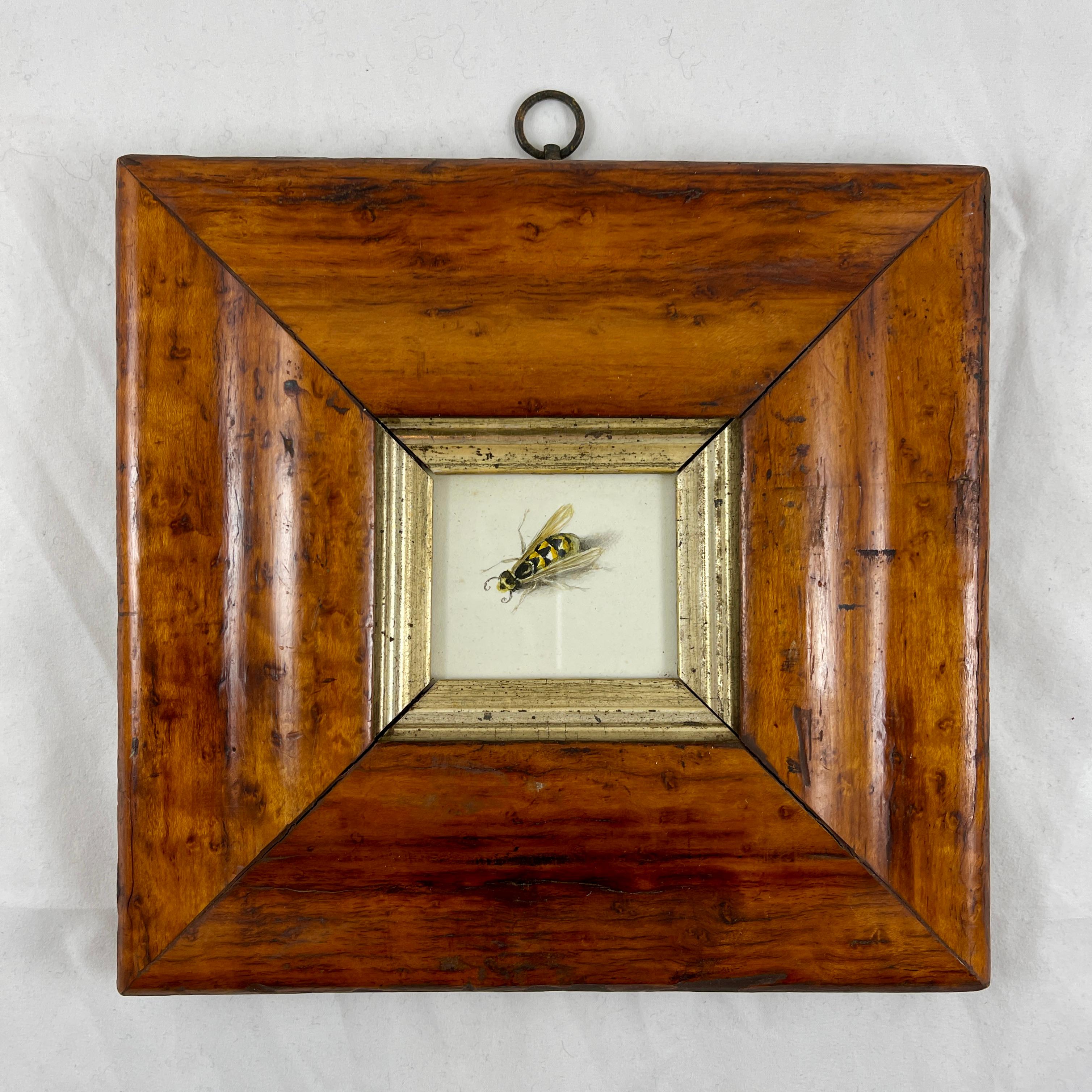 English Regency Period Original Watercolor Fruitwood Frame, a Yellow Wasp Study  For Sale 1
