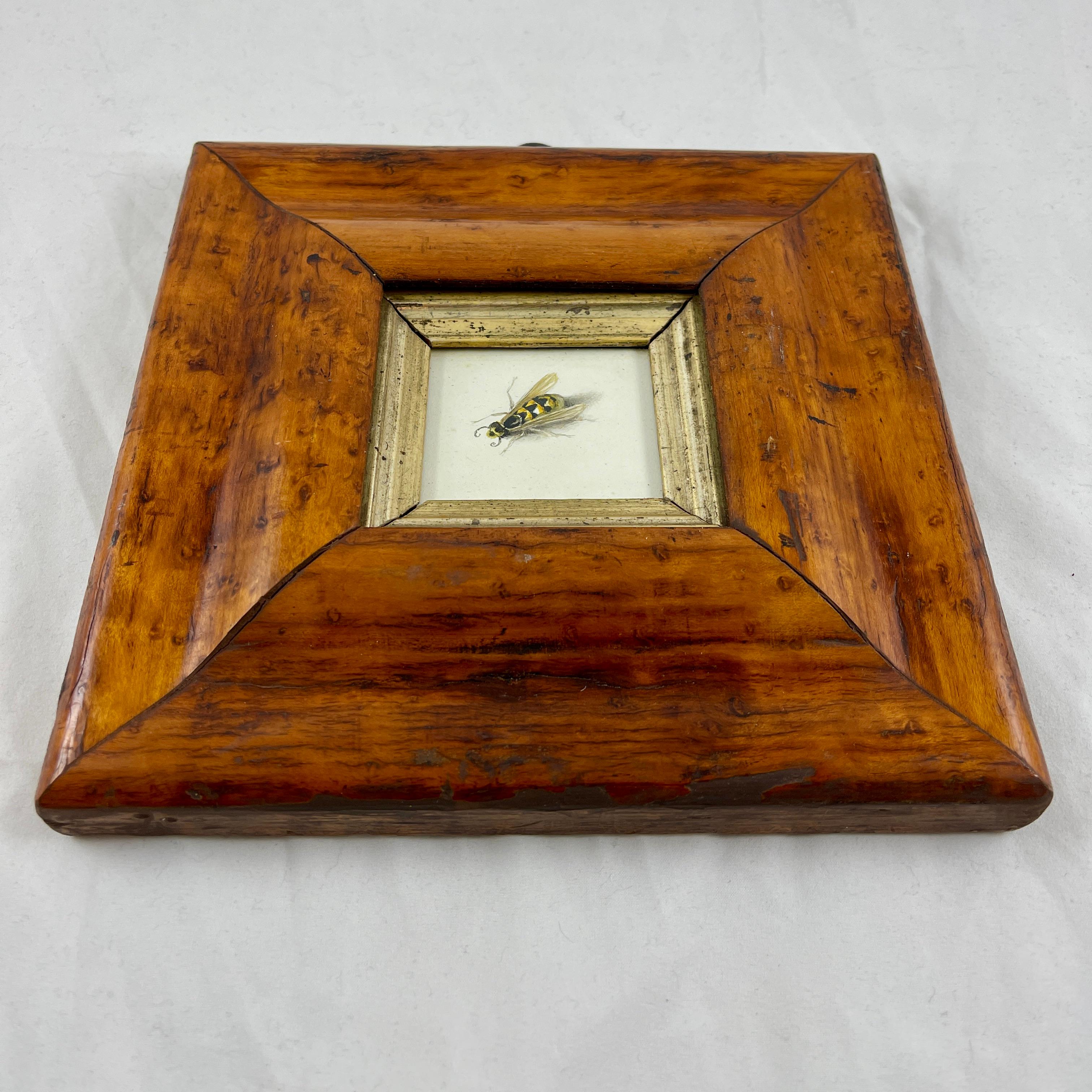 English Regency Period Original Watercolor Fruitwood Frame, a Yellow Wasp Study  For Sale 2