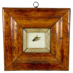 English Regency Period Original Watercolor Fruitwood Frame, a Yellow Wasp Study 