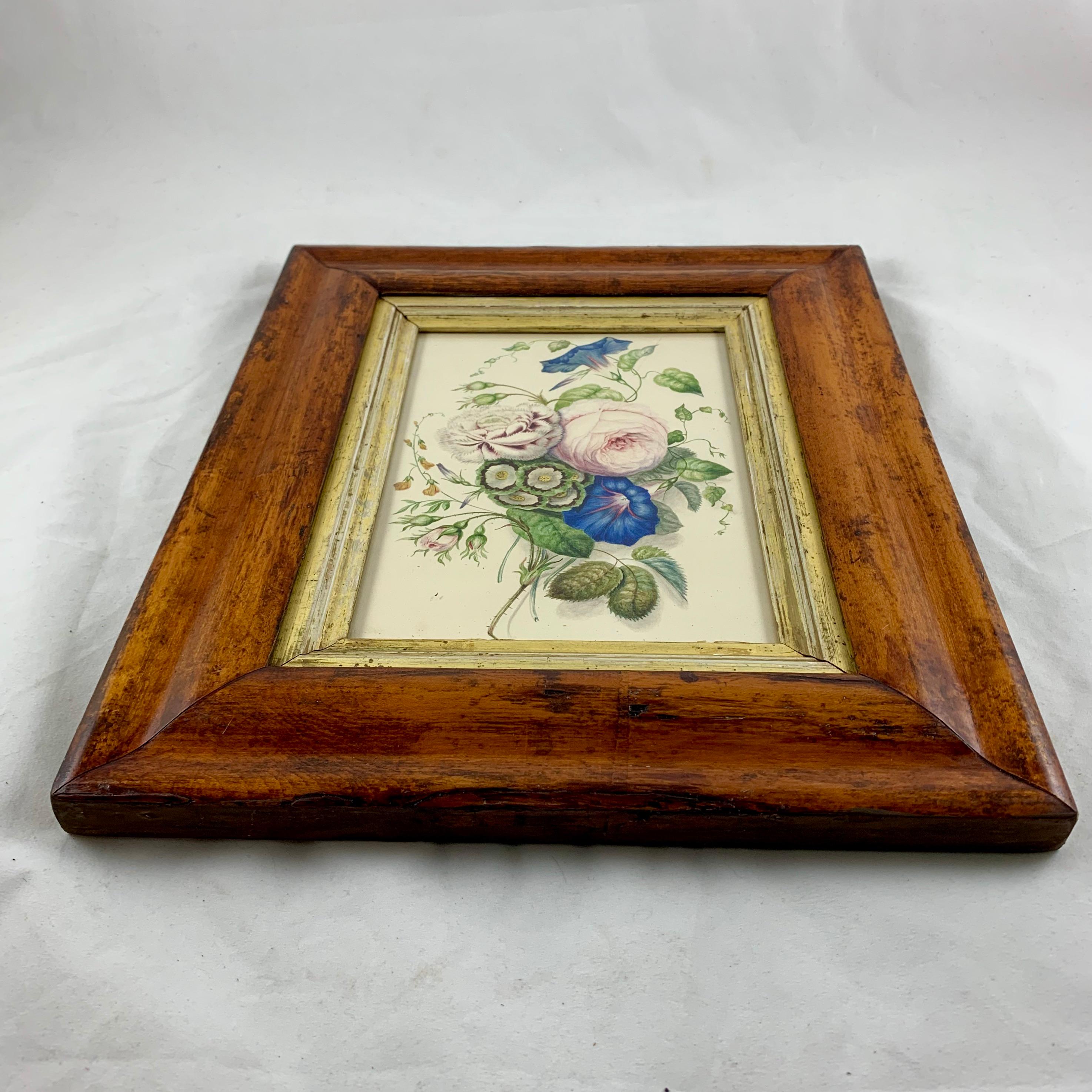 English Regency Period Original Watercolor Fruitwood Frame Primrose Cabbage Rose 4