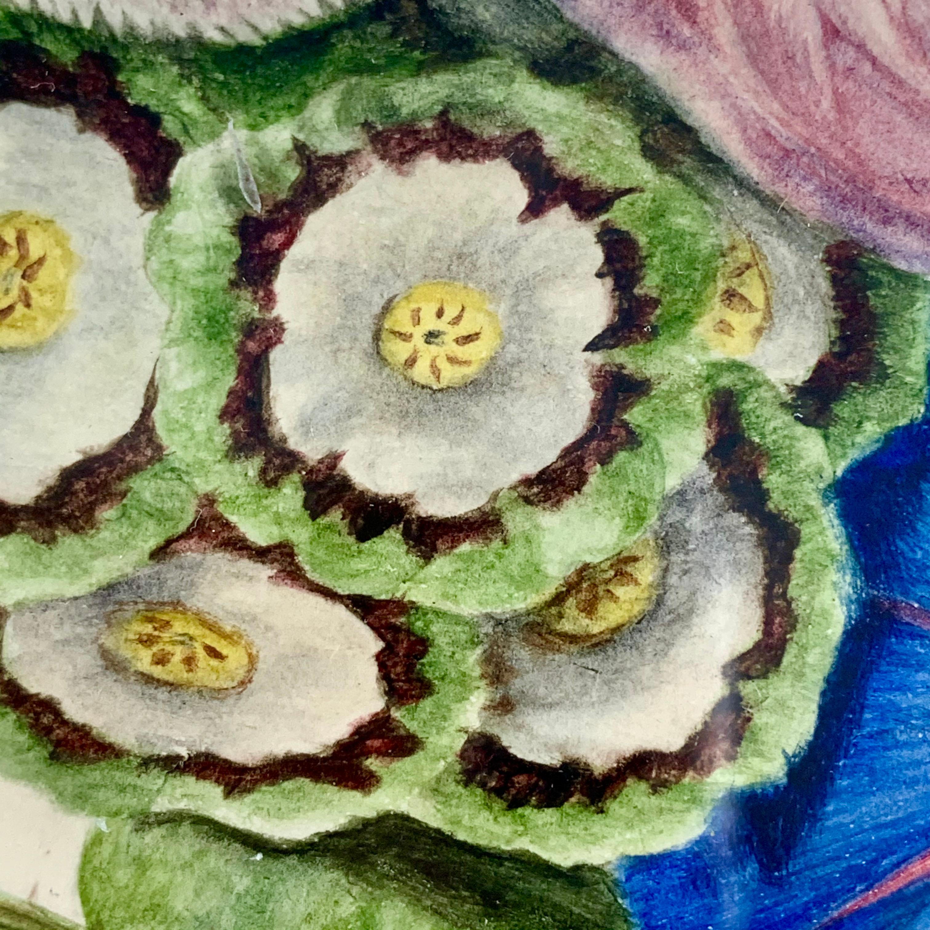 English Regency Period Original Watercolor Fruitwood Frame Primrose Cabbage Rose In Good Condition In Philadelphia, PA