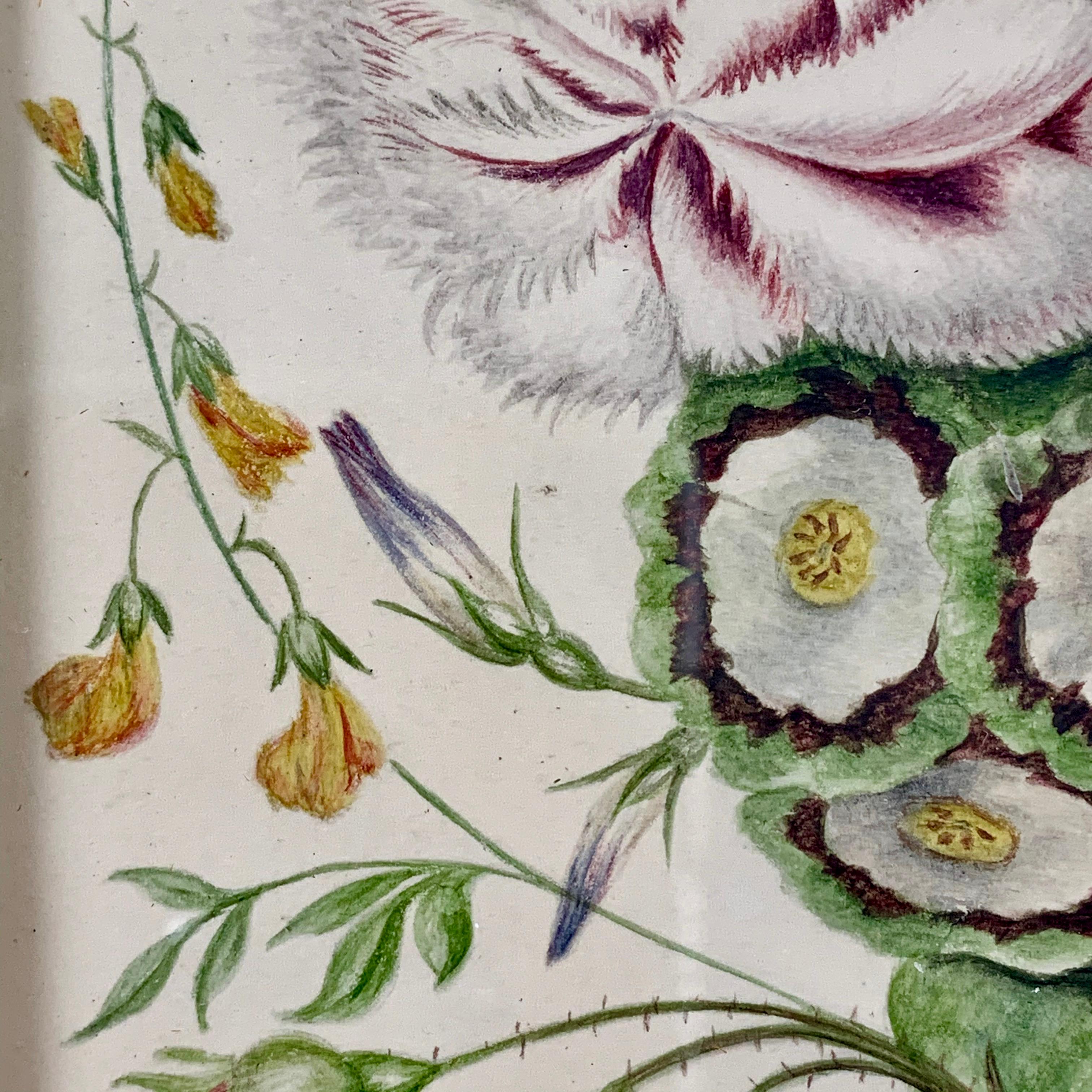 18th Century English Regency Period Original Watercolor Fruitwood Frame Primrose Cabbage Rose