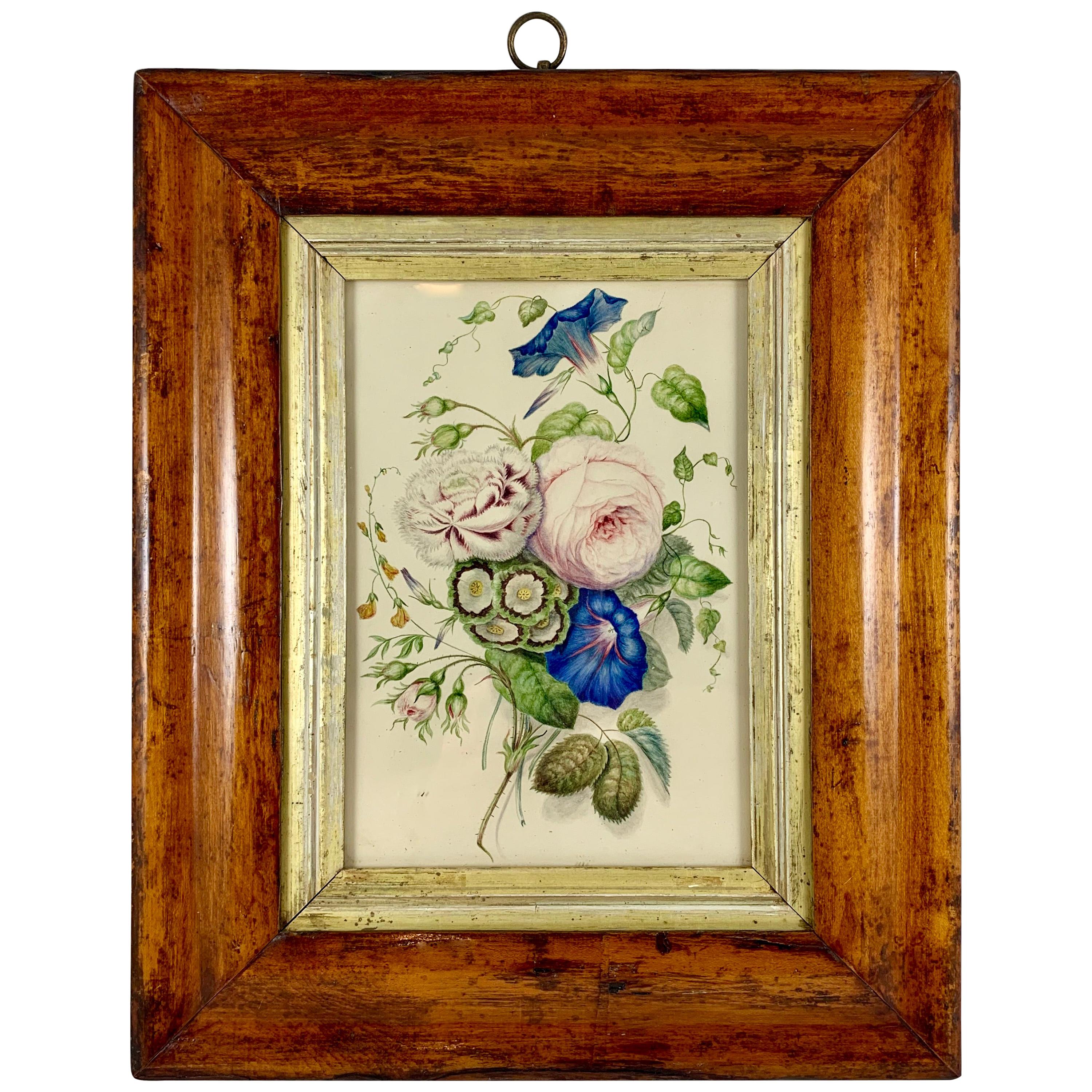 English Regency Period Original Watercolor Fruitwood Frame Primrose Cabbage Rose