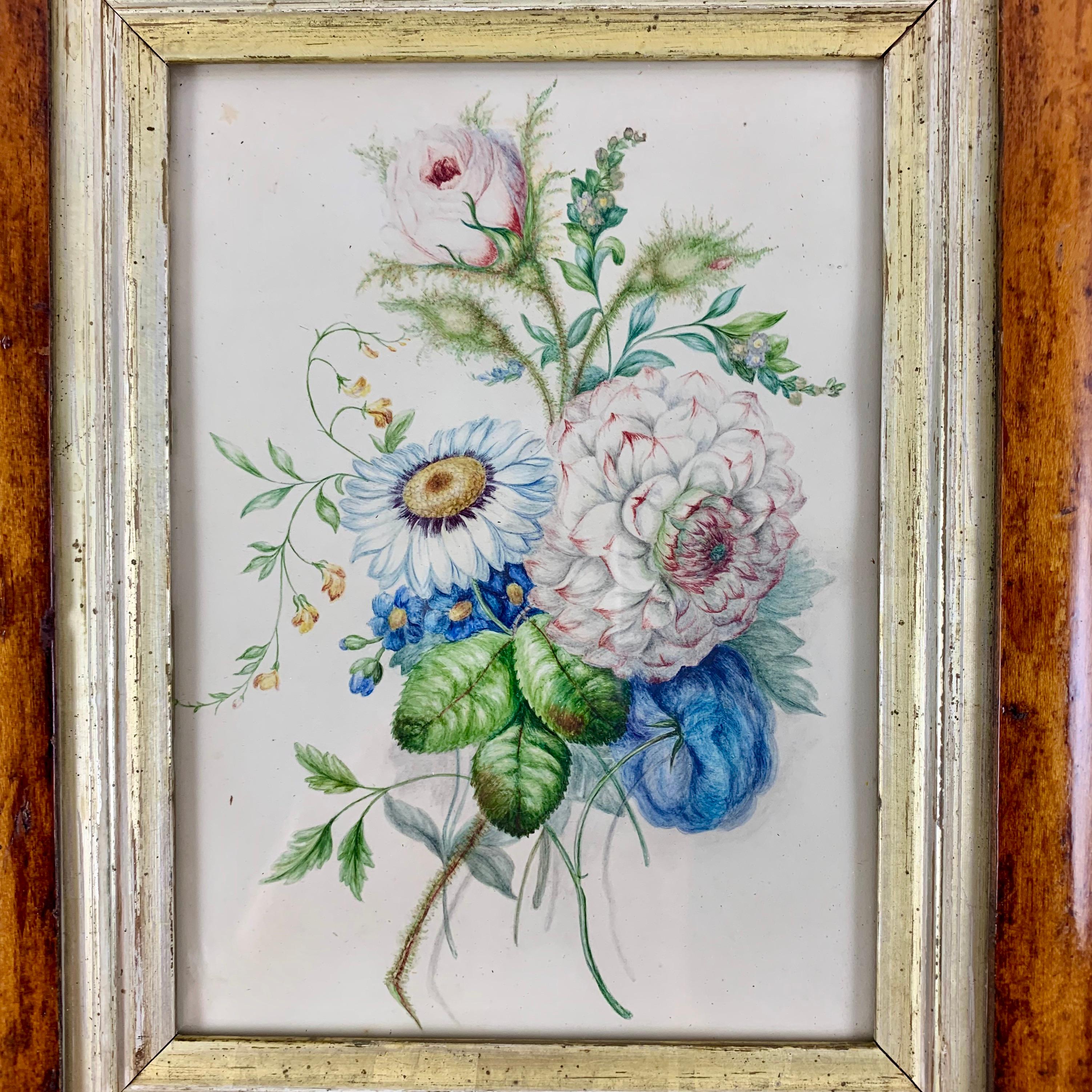 Beveled English Regency Period Original Watercolor in Fruitwood Frame, Daisy and Dahila