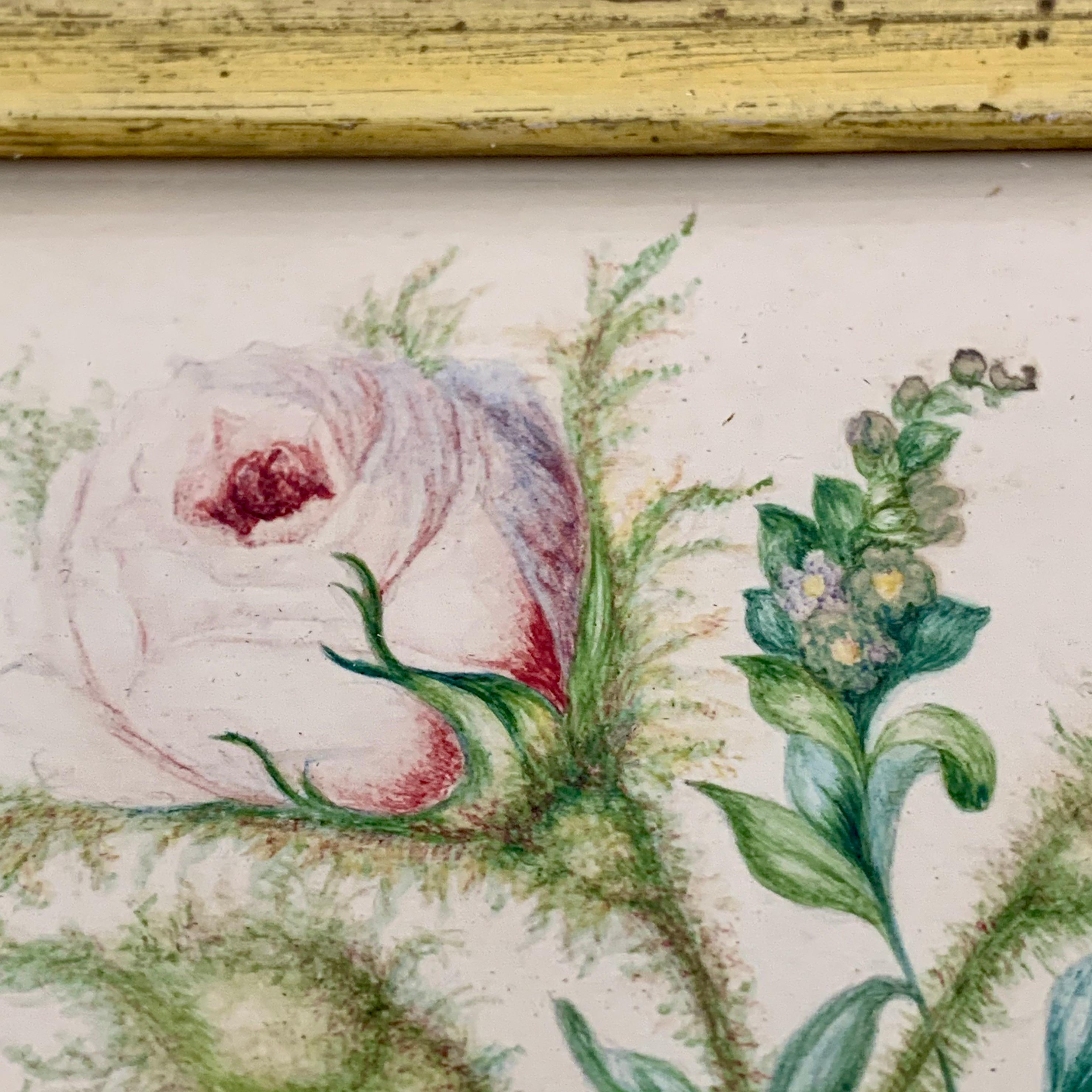 English Regency Period Original Watercolor in Fruitwood Frame, Daisy and Dahila 1