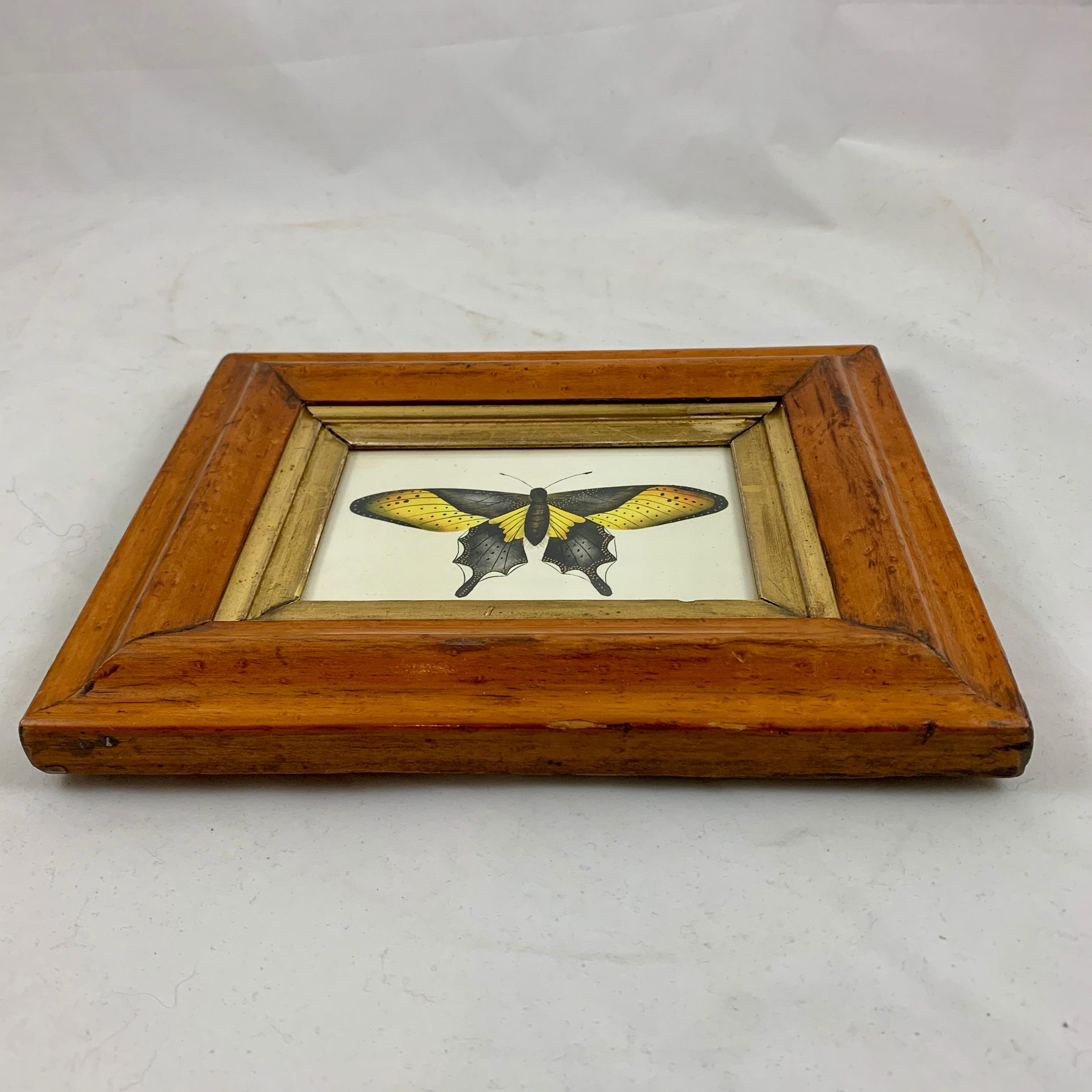 English Regency Period Original Watercolor in Fruitwood Frame, Yellow Butterfly 2
