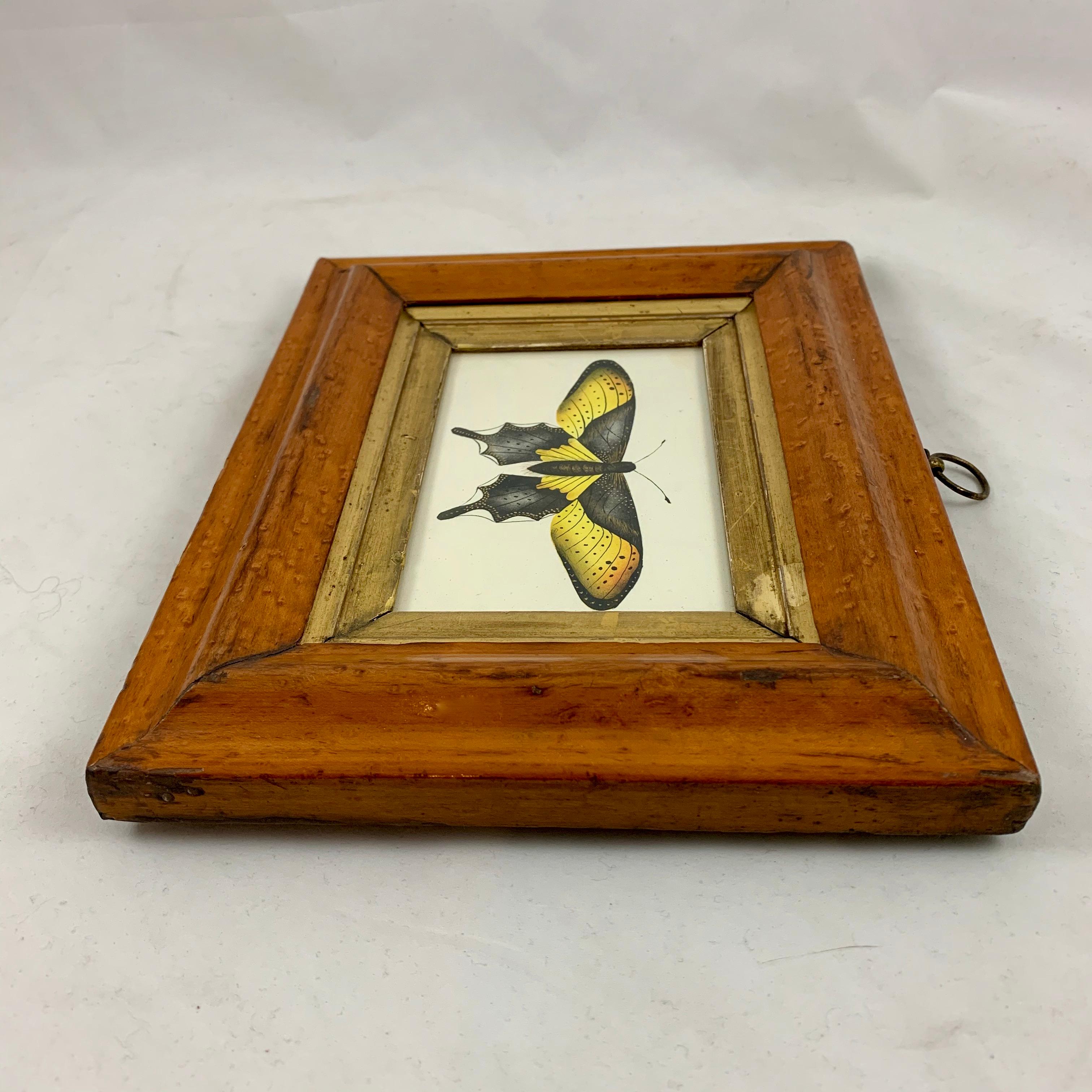 English Regency Period Original Watercolor in Fruitwood Frame, Yellow Butterfly 3