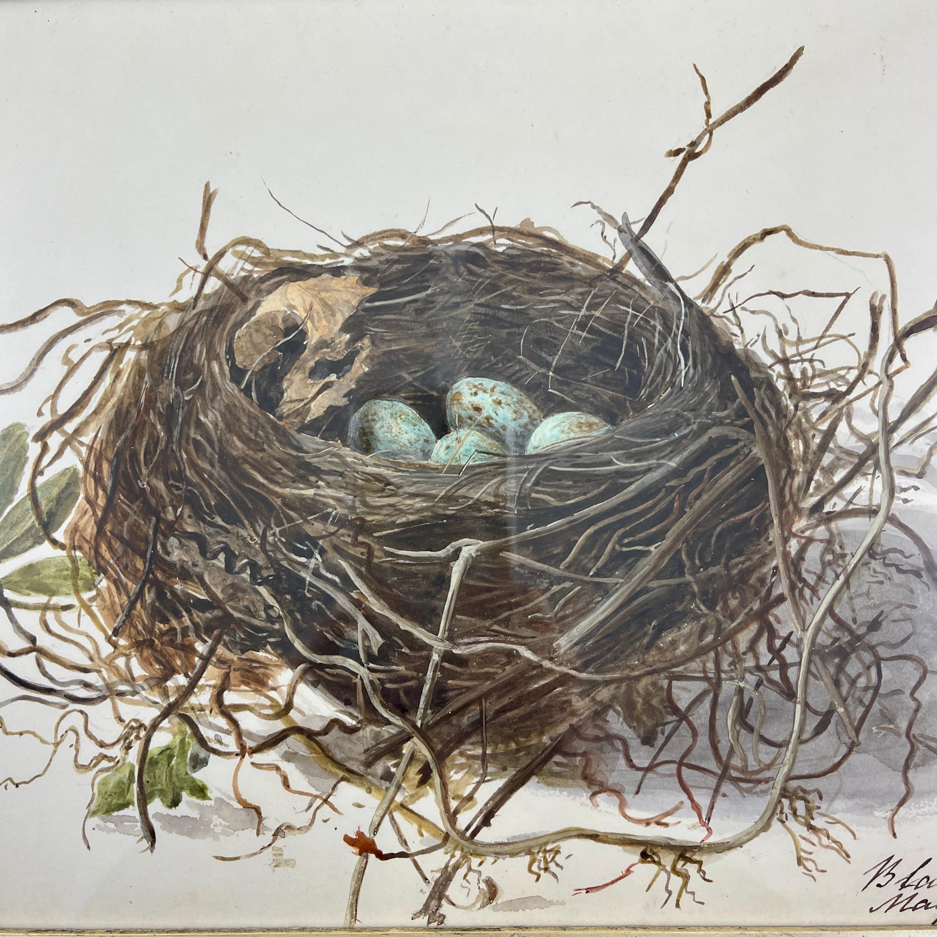 Une aquarelle originale de l'école britannique de la période Régence représentant un nid et des œufs d'oiseaux noirs, montée dans un cadre en érable d'époque géorgienne daté de 1863.

Ces aquarelles étaient en grande partie peintes par des jeunes