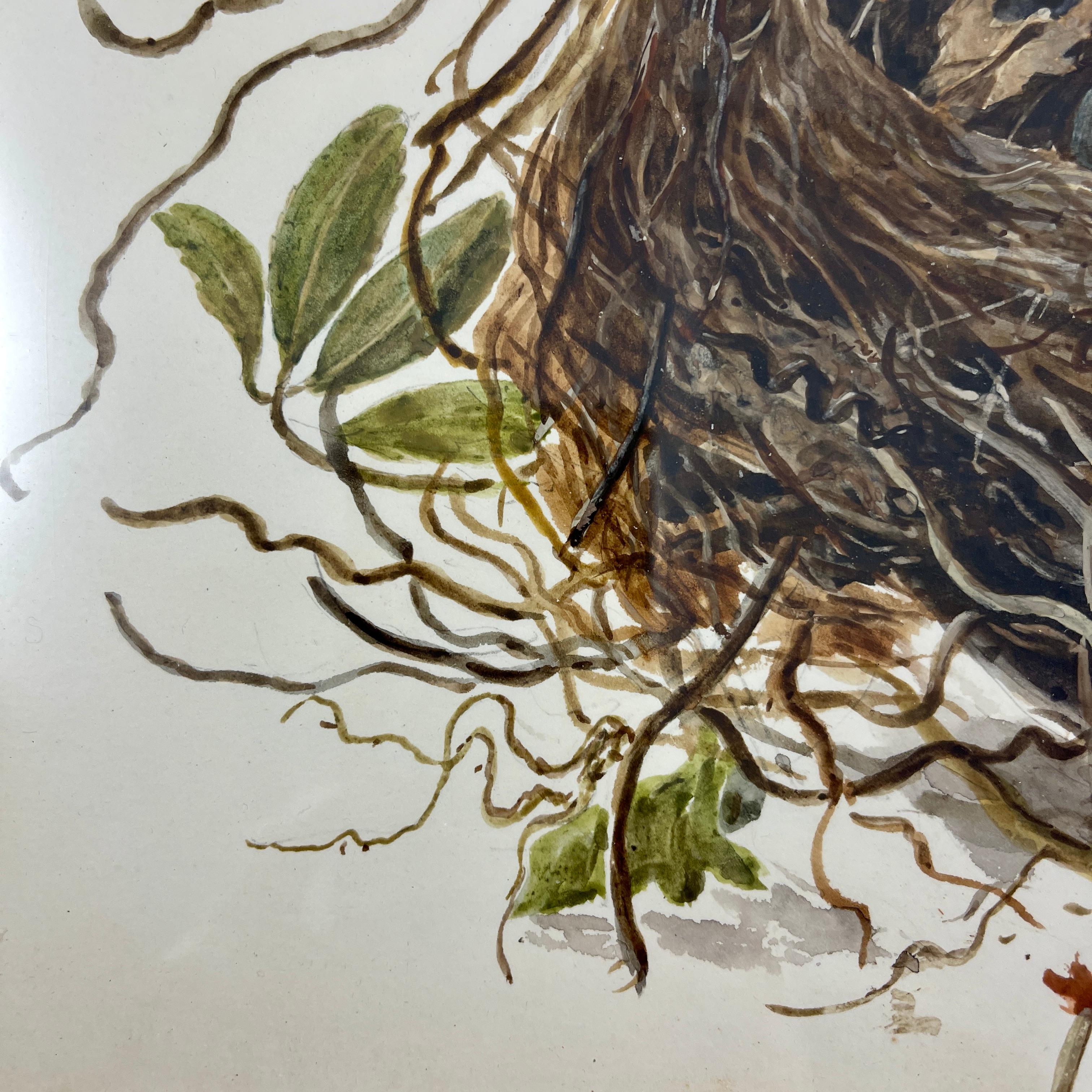 English Regency Period Original Watercolor Maple Frame Blackbird Nest and Eggs In Good Condition For Sale In Philadelphia, PA