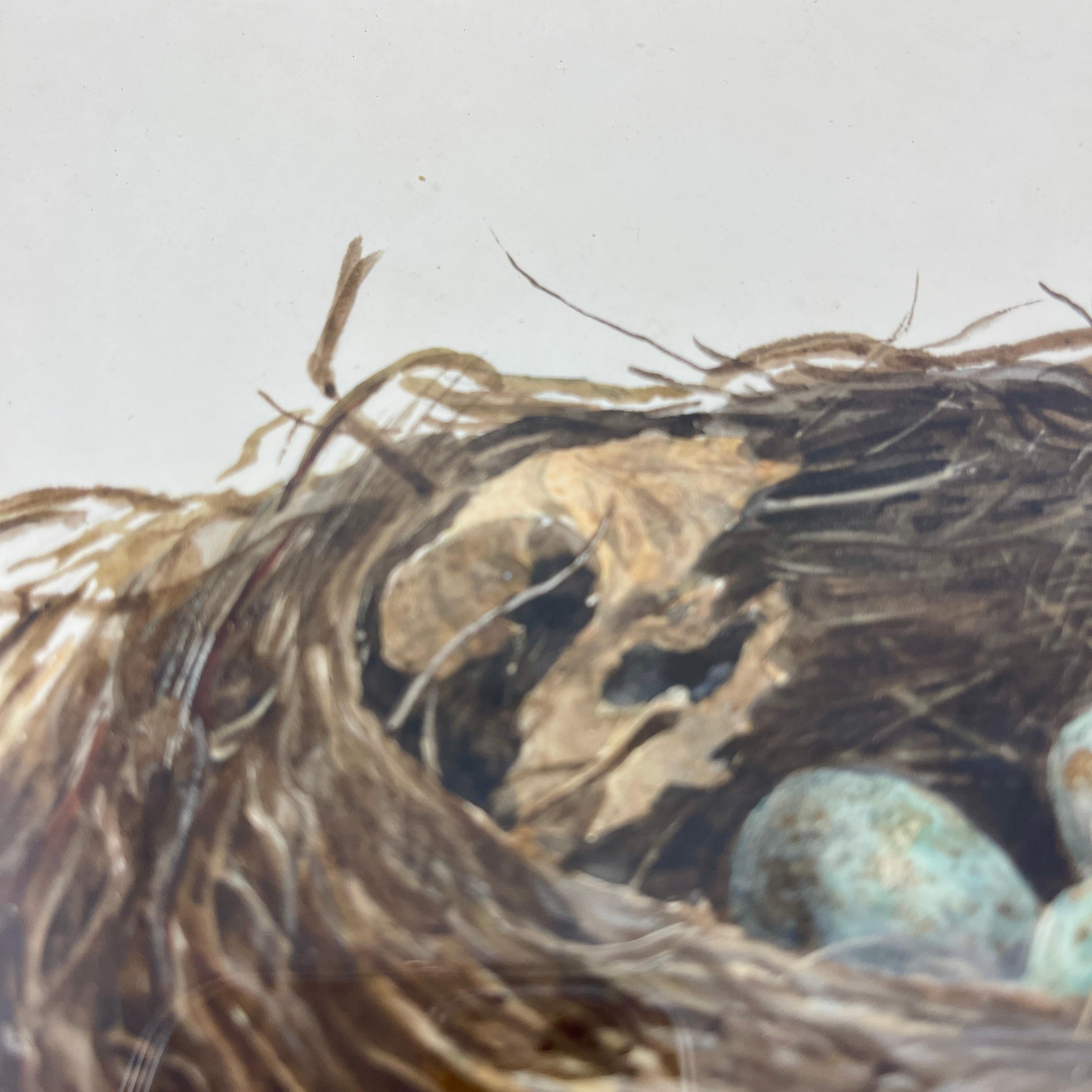 Biseauté Aquarelle d'origine d'époque Régence anglaise avec cadre en érable, nid d'oiseau noir et œufs en vente