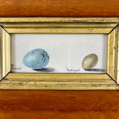 English Regency Period Original Watercolor Maple Frame Thrush & Nightingale Eggs