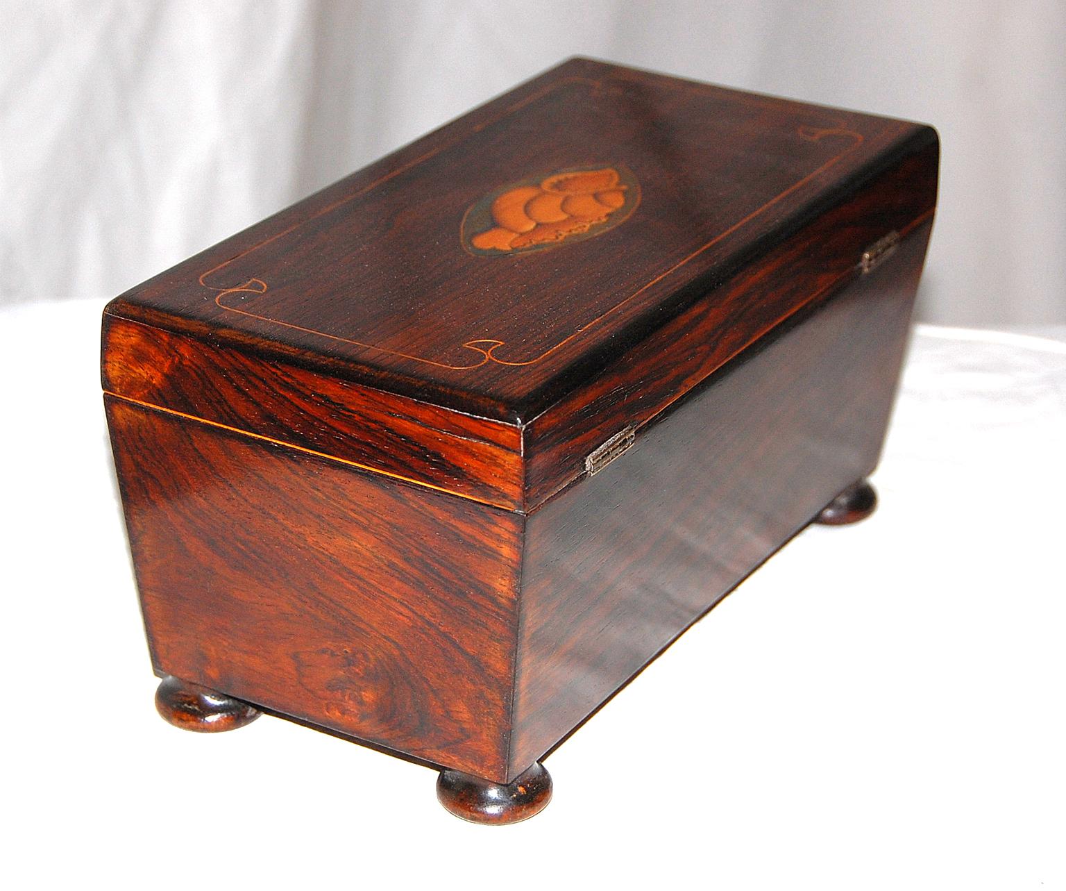 English Regency Period Rosewood Tea Caddy with Boxwood Shell and Line Inlay In Good Condition In Wells, ME