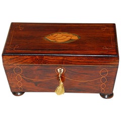 English Regency Period Rosewood Tea Caddy with Boxwood Shell and Line Inlay