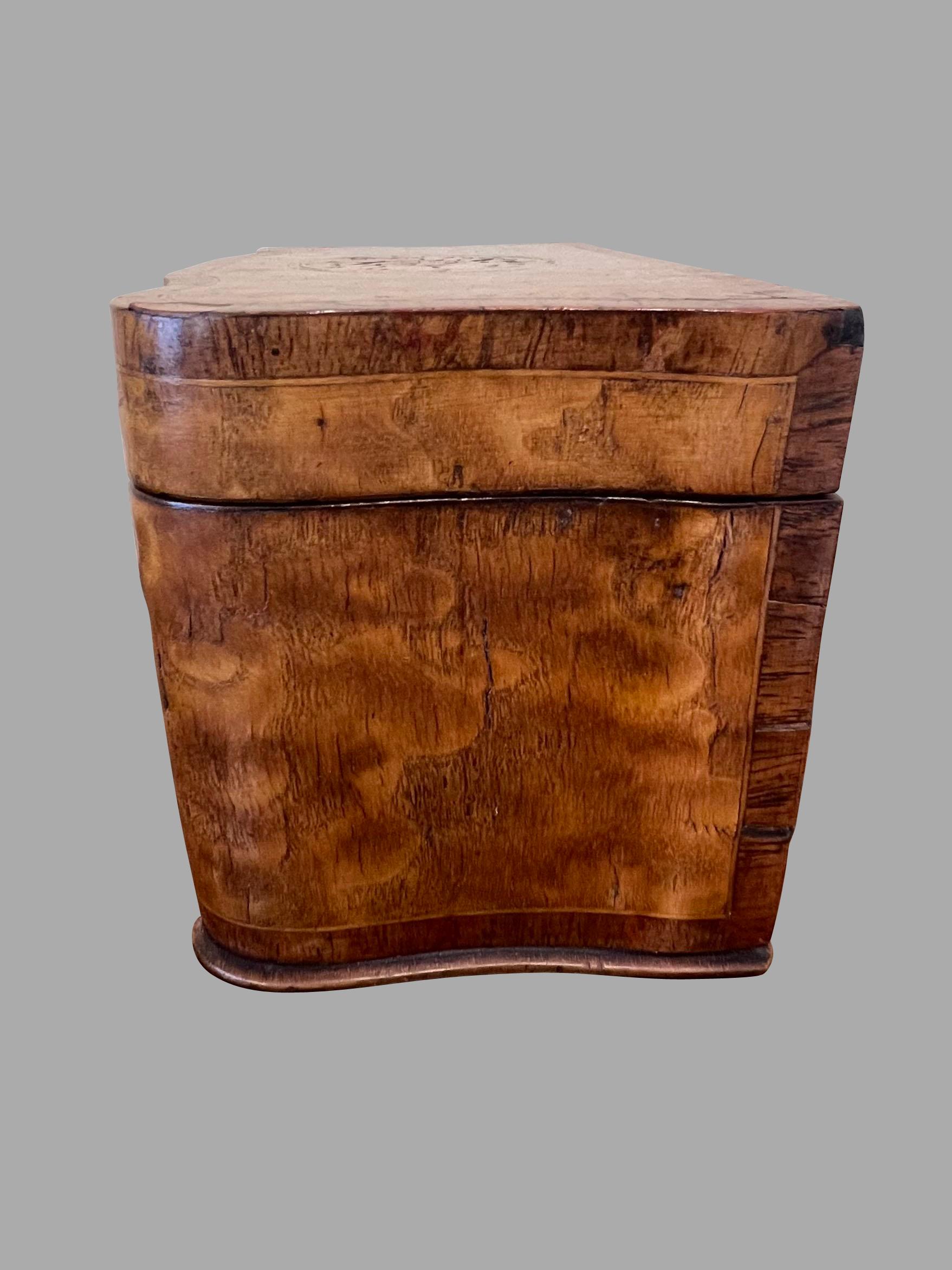 Boîte à thé en forme de serpentin en marqueterie de bois de satin d'époque Régence anglaise en vente 2