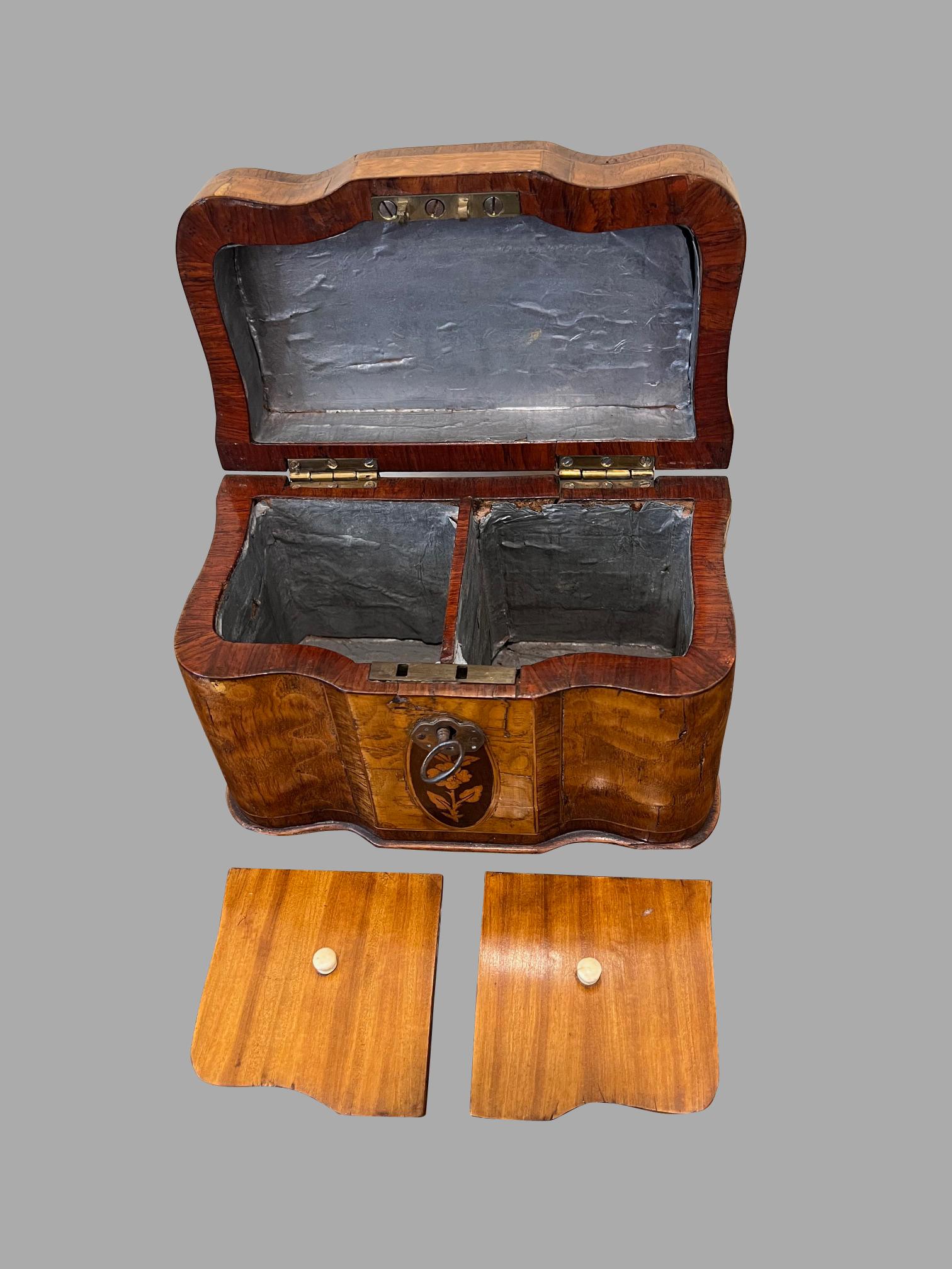 Citronnier Boîte à thé en forme de serpentin en marqueterie de bois de satin d'époque Régence anglaise en vente