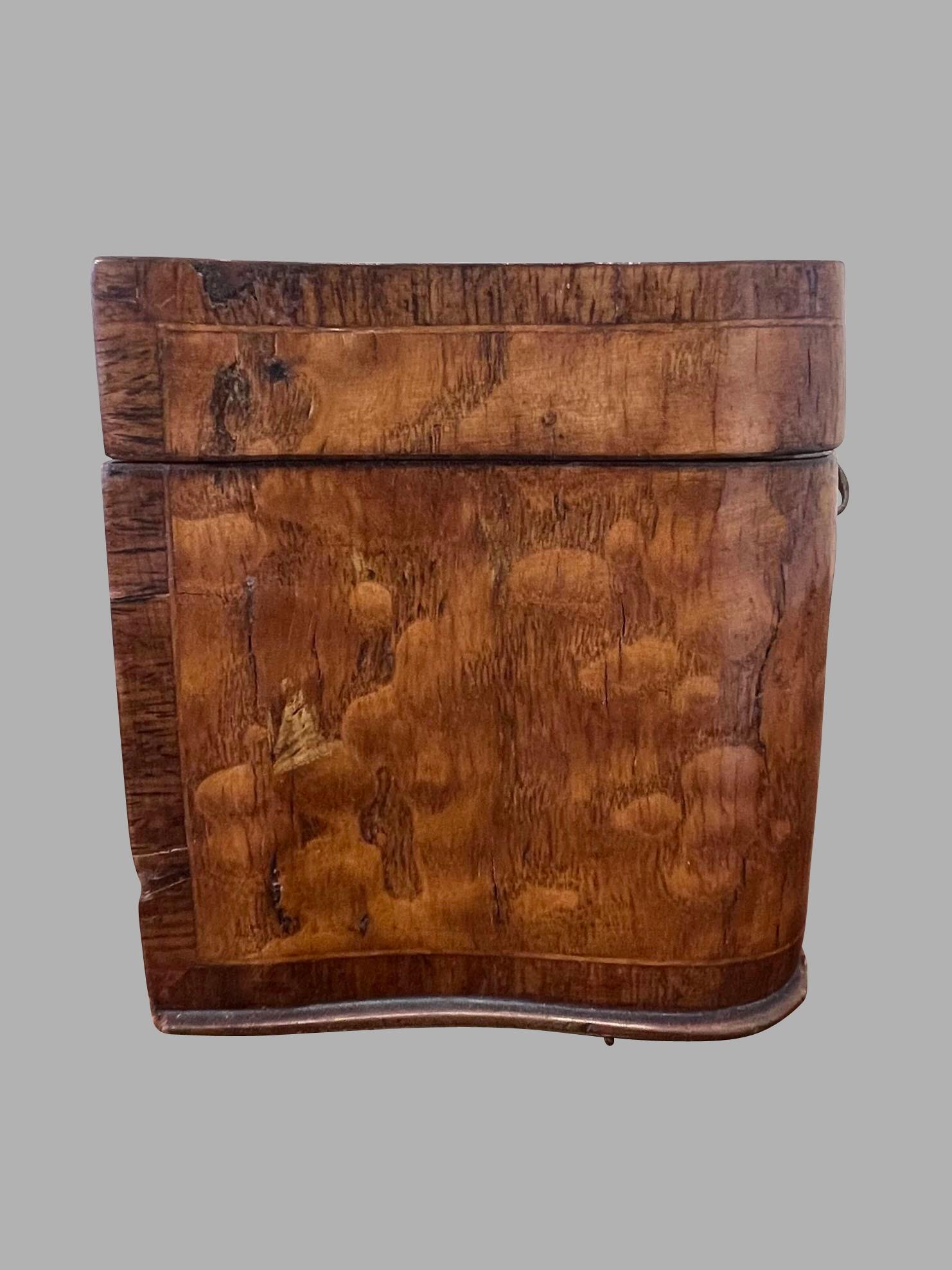 Boîte à thé en forme de serpentin en marqueterie de bois de satin d'époque Régence anglaise en vente 3
