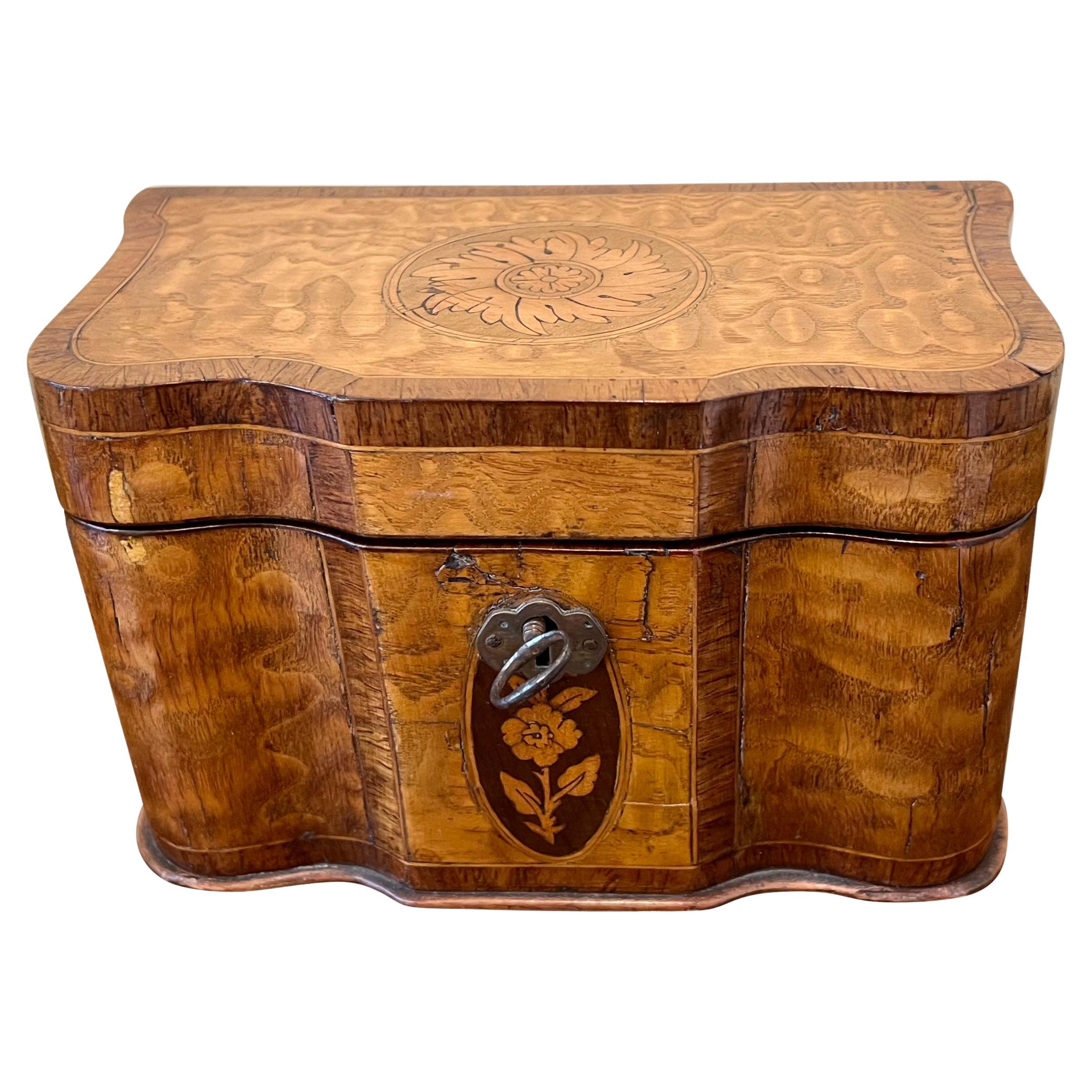 Boîte à thé en forme de serpentin en marqueterie de bois de satin d'époque Régence anglaise en vente