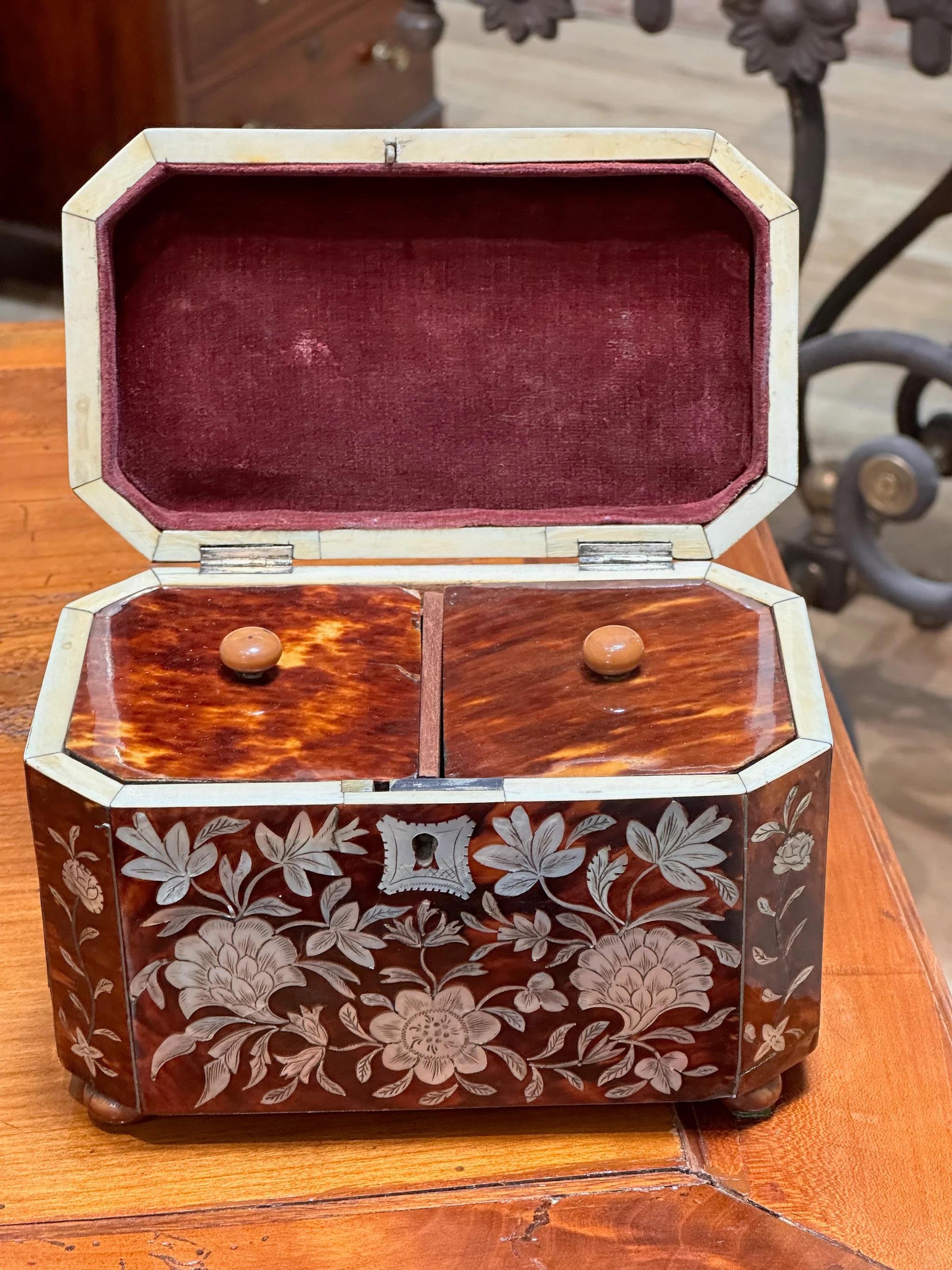 English Regency Period Tortoiseshell Tea Caddy In Good Condition In Charlottesville, VA
