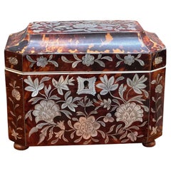 English Regency Period Tortoiseshell Tea Caddy