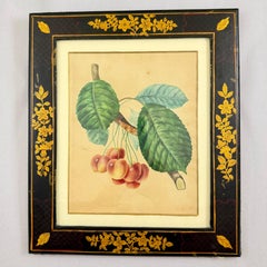 Estampe représentant des cerisiers, peinte à l'aquarelle, datant de la période de la Régence anglaise, dans un cadre laqué peint à la main