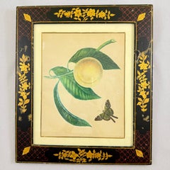 Estampe de fruits à l'aquarelle de l'époque de la Régence anglaise, dans un cadre laqué peint à la main