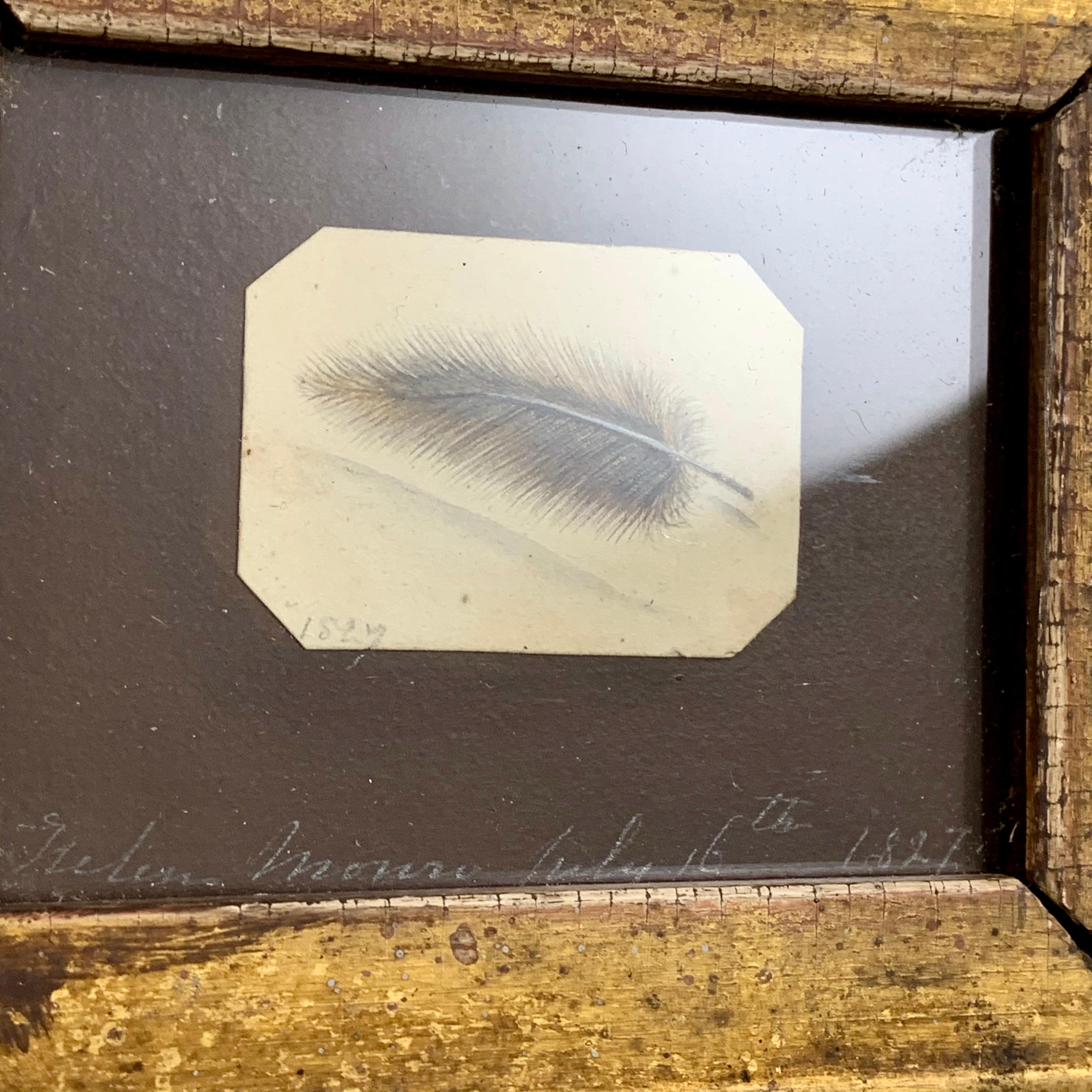 19th Century English Regency Period Wood Framed Watercolor, a Feather, Signed and Dated 1827