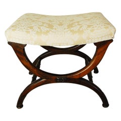 English Regency Period X-Frame Carved Upholstered Rosewood Stool
