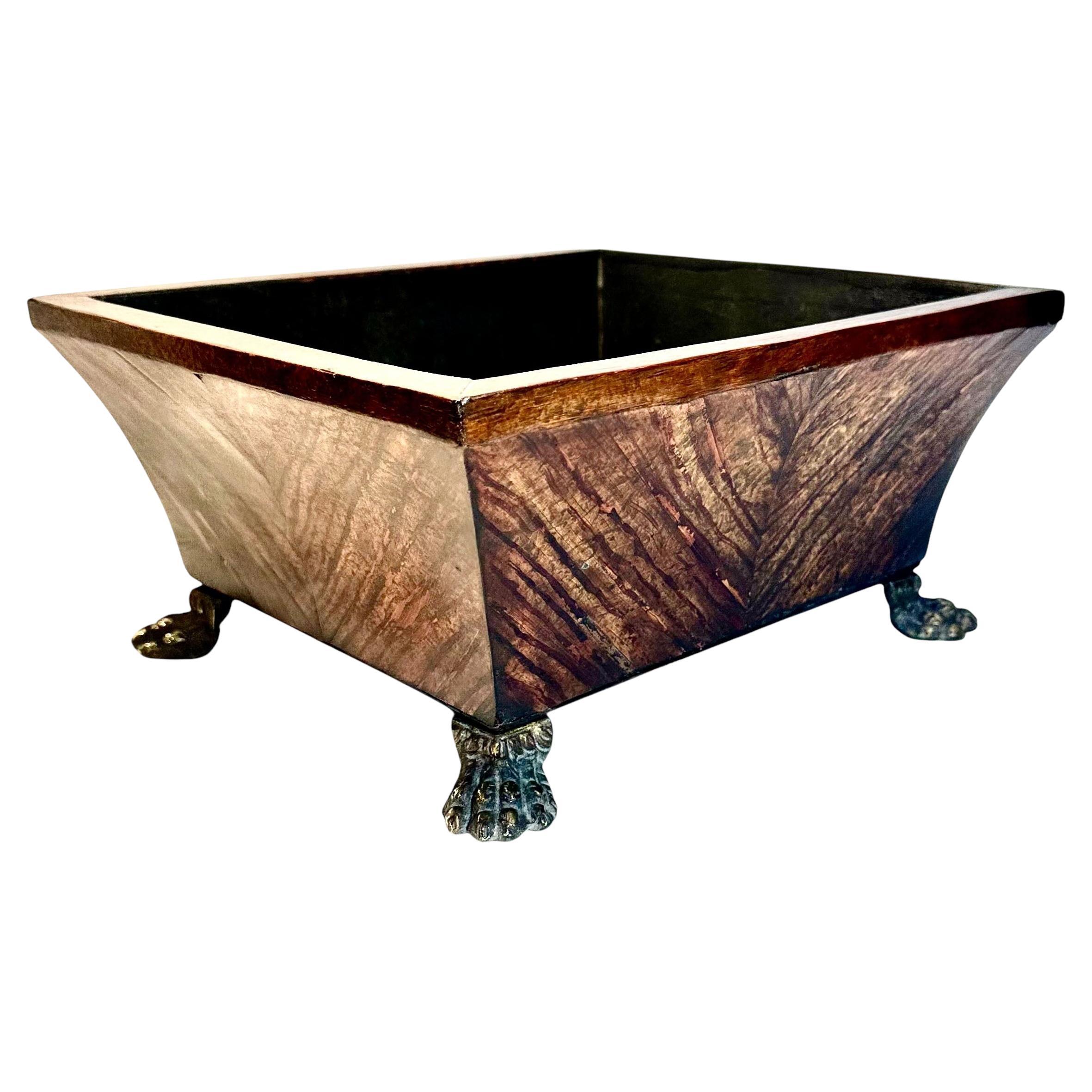 English Regency Planter with Bronze Lion Paw Feet