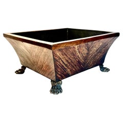 English Regency Planter with Bronze Lion Paw Feet