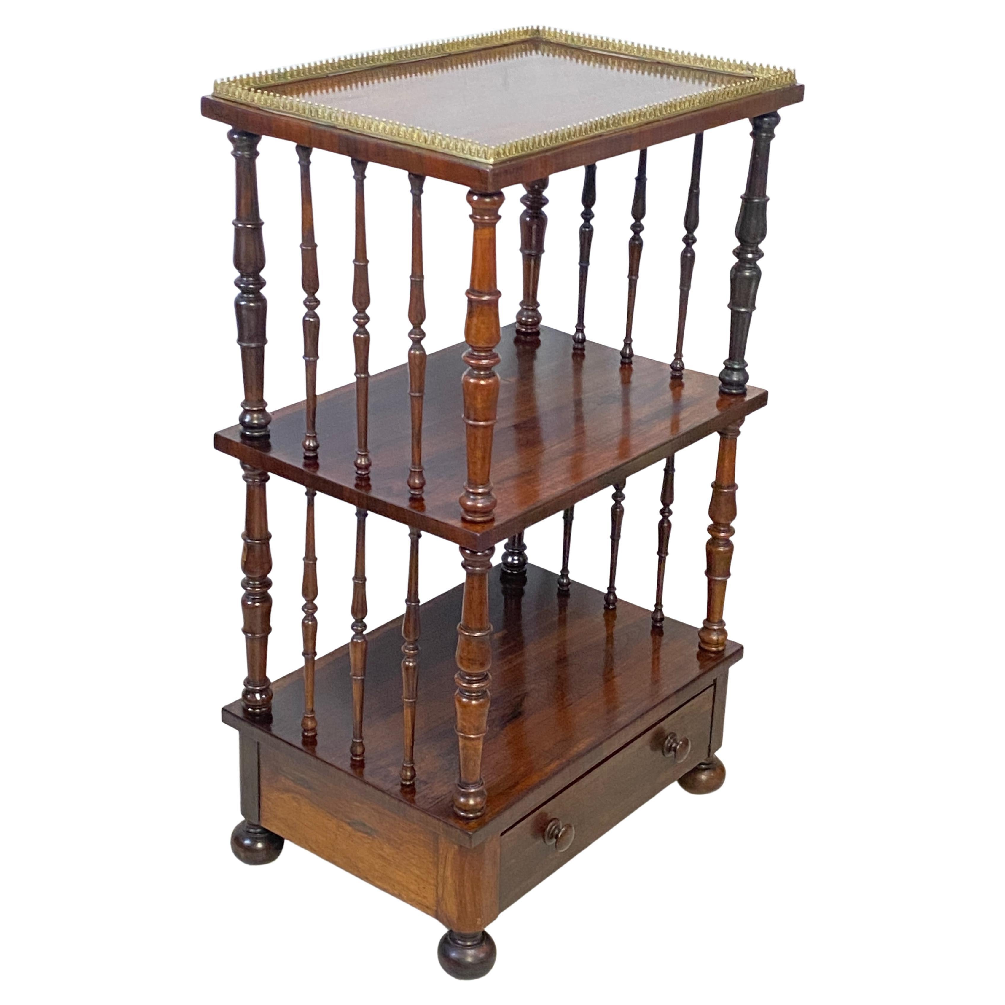 English Regency Rosewood and Walnut Silent Butler Serving Table Shelf circa 1830 For Sale