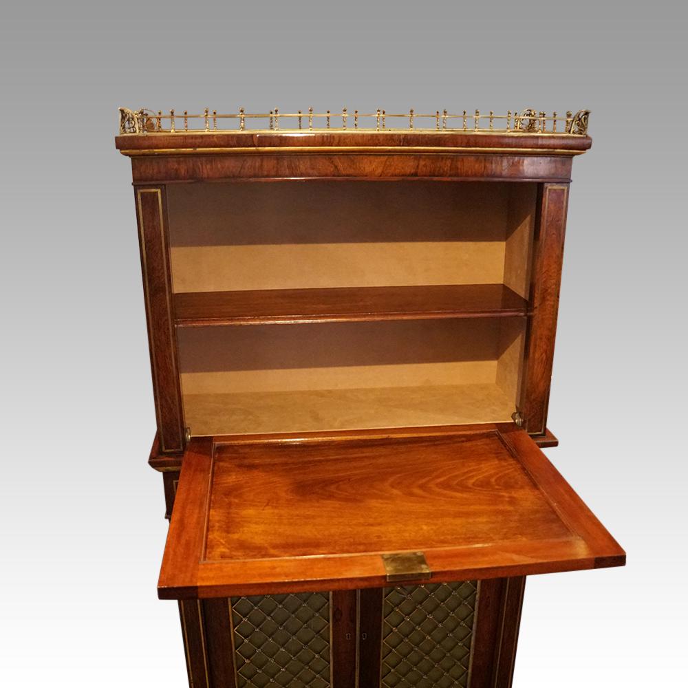 English Regency Rosewood cabinet in the manner of John McLean For Sale 6