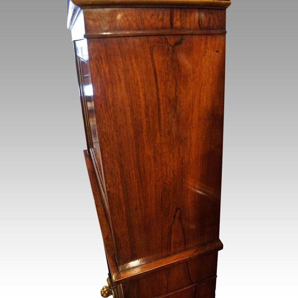 English Regency Rosewood cabinet in the manner of John McLean For Sale 9