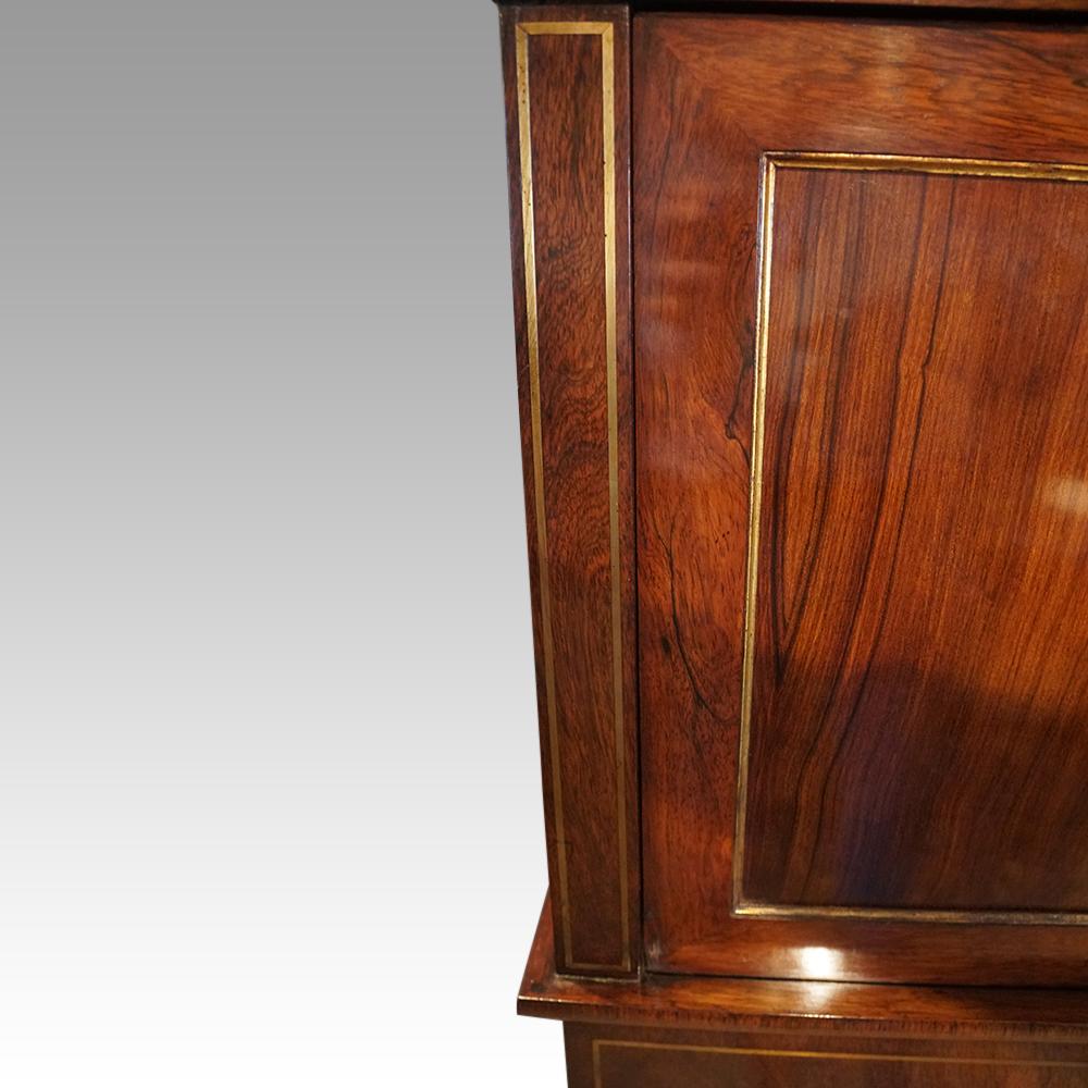 English Regency Rosewood cabinet in the manner of John McLean In Good Condition For Sale In Salisbury, GB