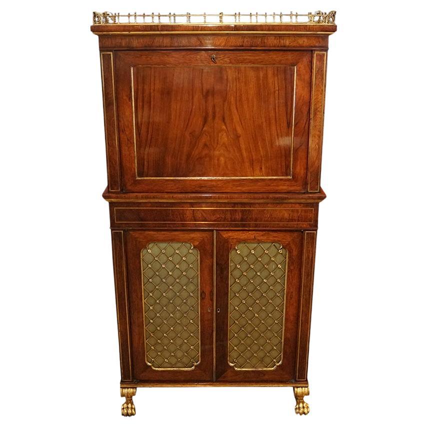 English Regency Rosewood cabinet in the manner of John McLean For Sale