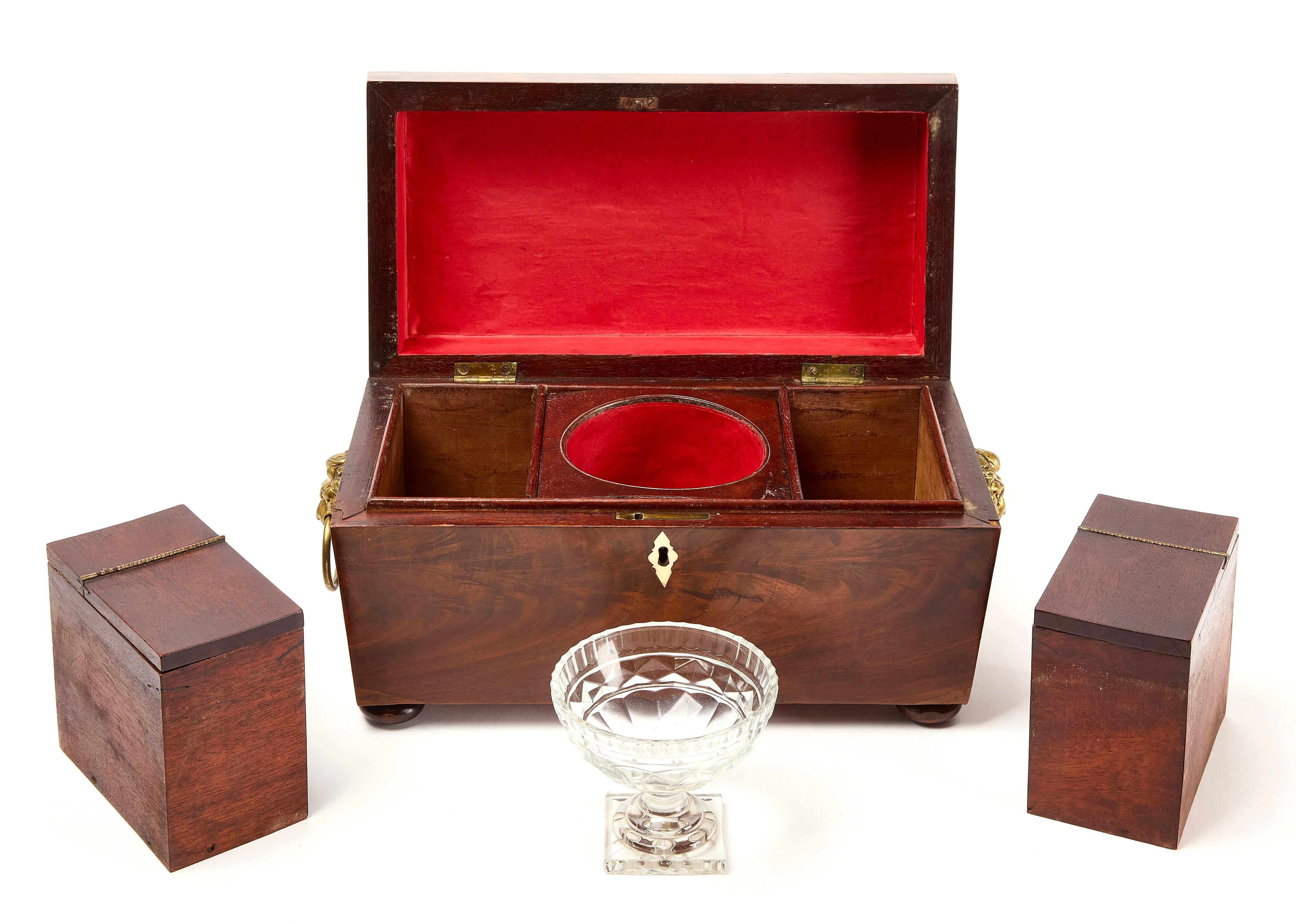 Anglais Boîte à thé de style English Regency en forme de sarcophage en vente