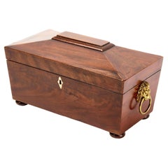 English Regency Sarcophagus-Form Tea Caddy