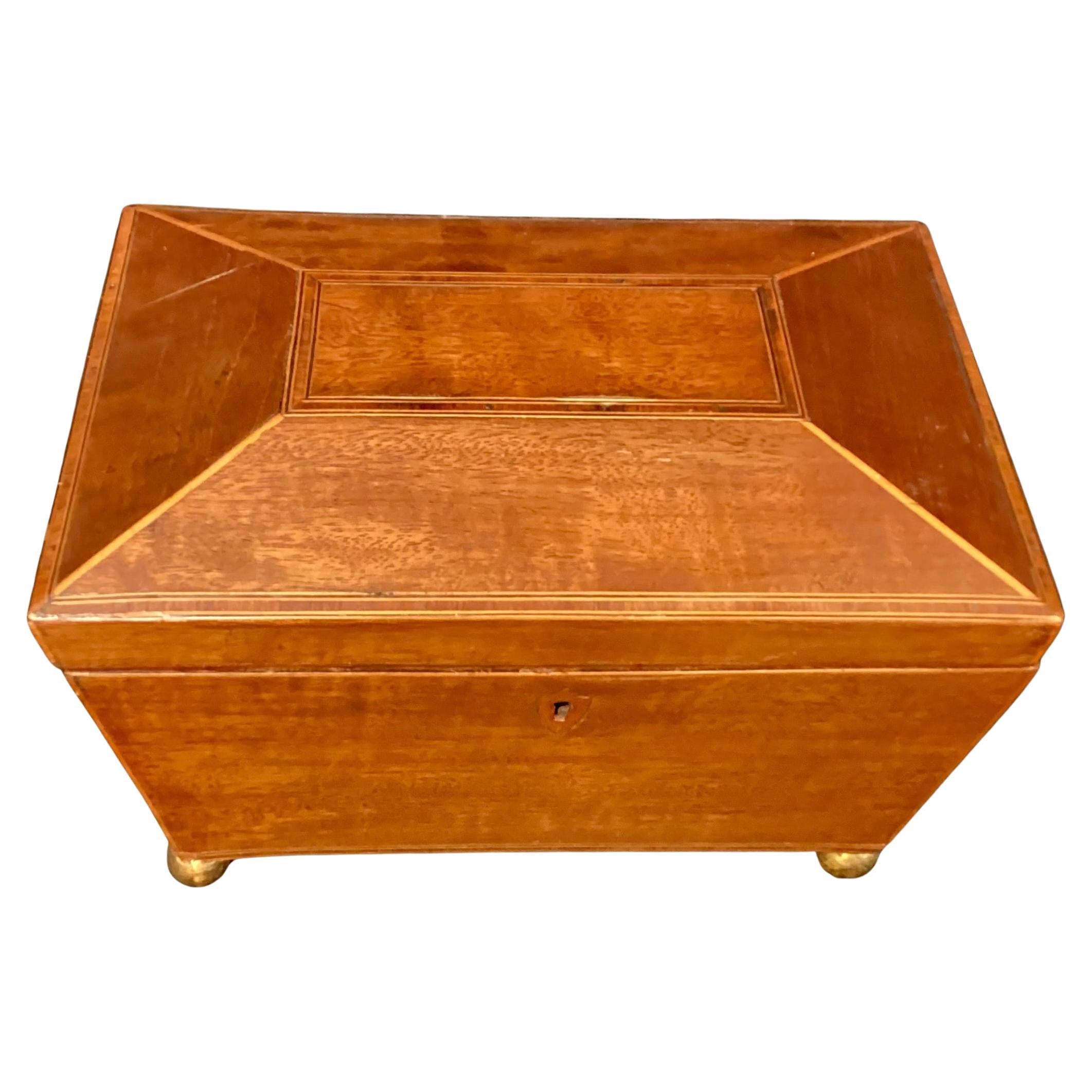 English Regency Sarcophagus Shaped Tea Caddy For Sale 7