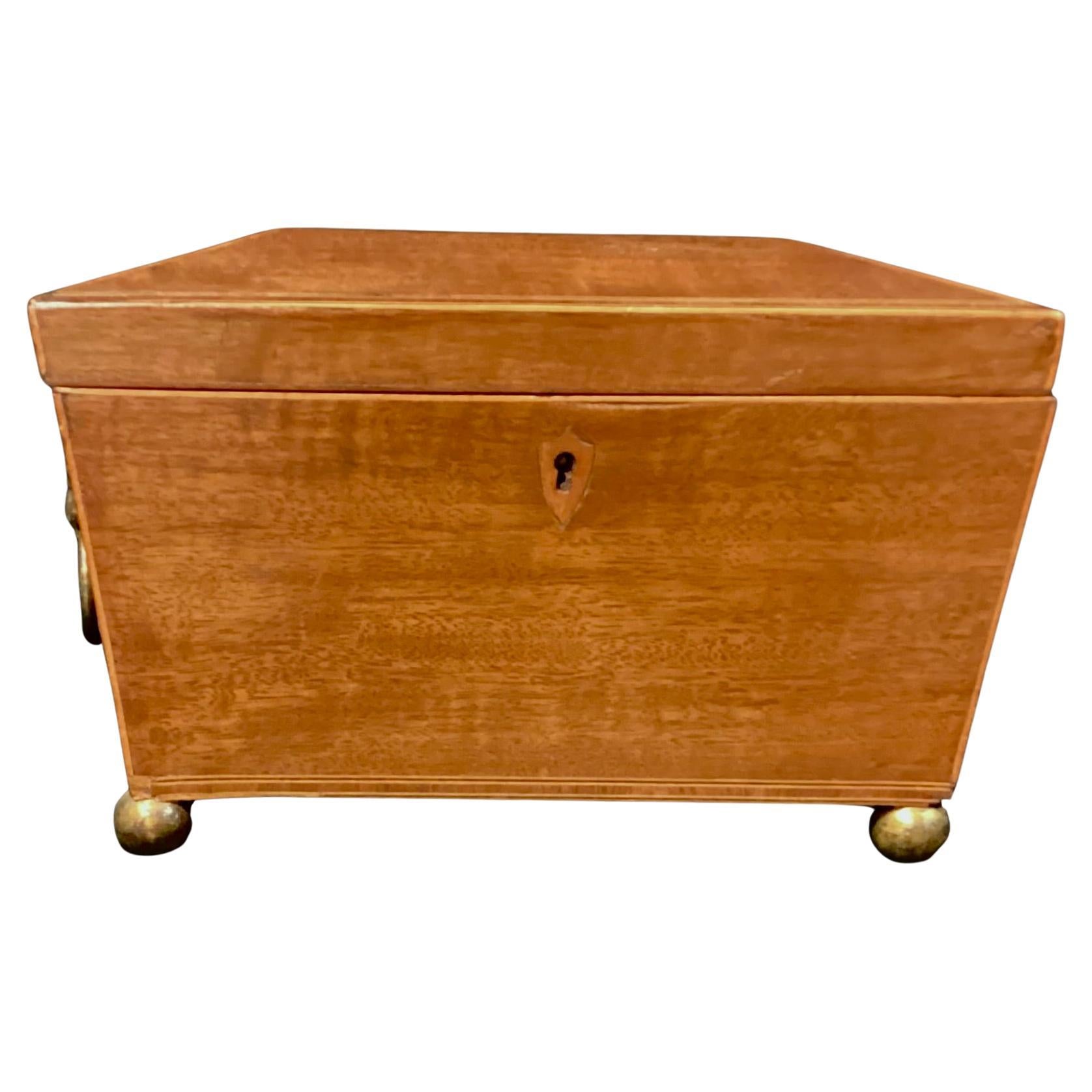 Early 19th Century Sarcophagus Shaped Mahogany Tea Caddy. Caddy is shaped box-like with a rectangular form and sloped sides, resembling ancient coffins. Richly grained mahogany with inner compartments to hold different types of tea. Small bun feet.