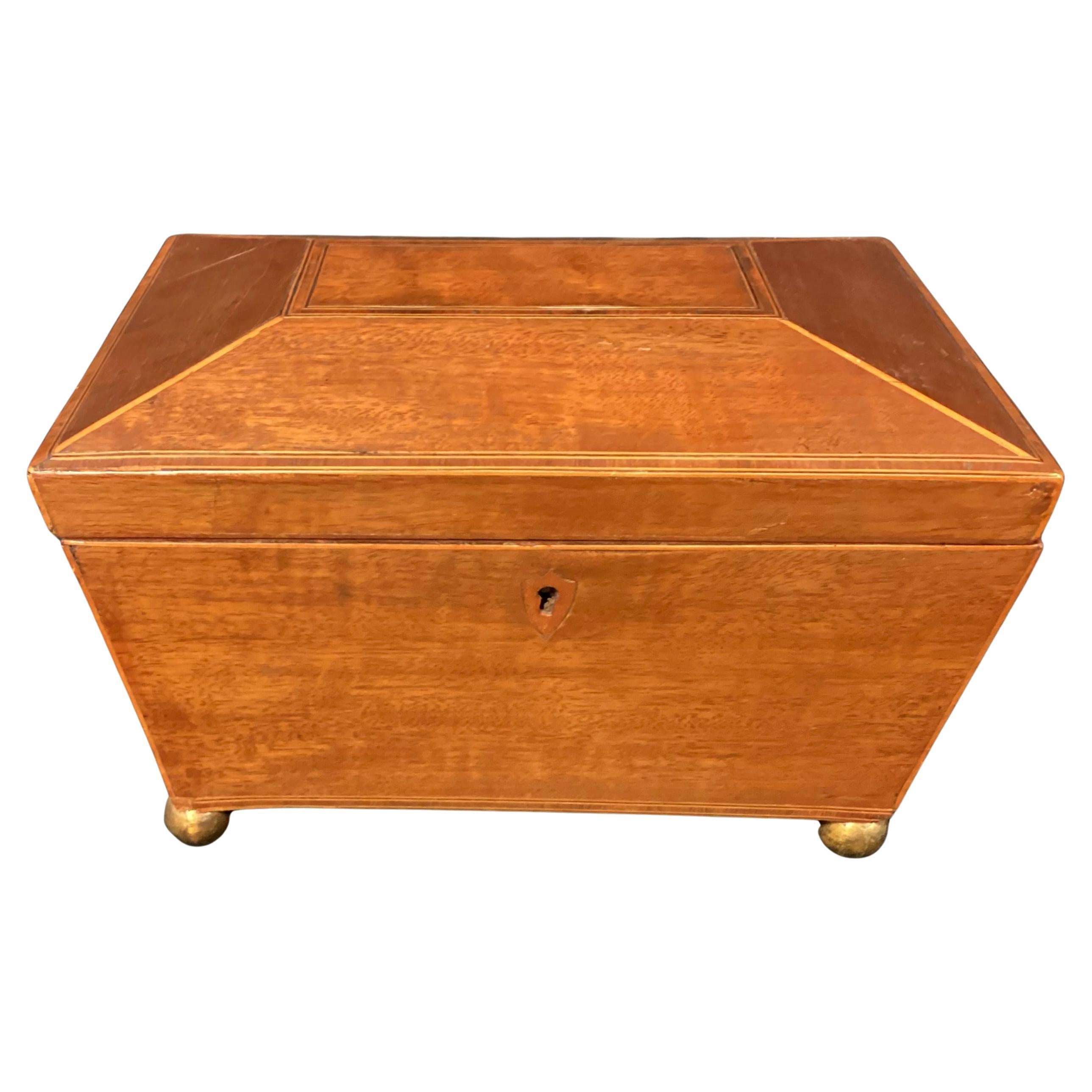 English Regency Sarcophagus Shaped Tea Caddy In Good Condition For Sale In Bradenton, FL