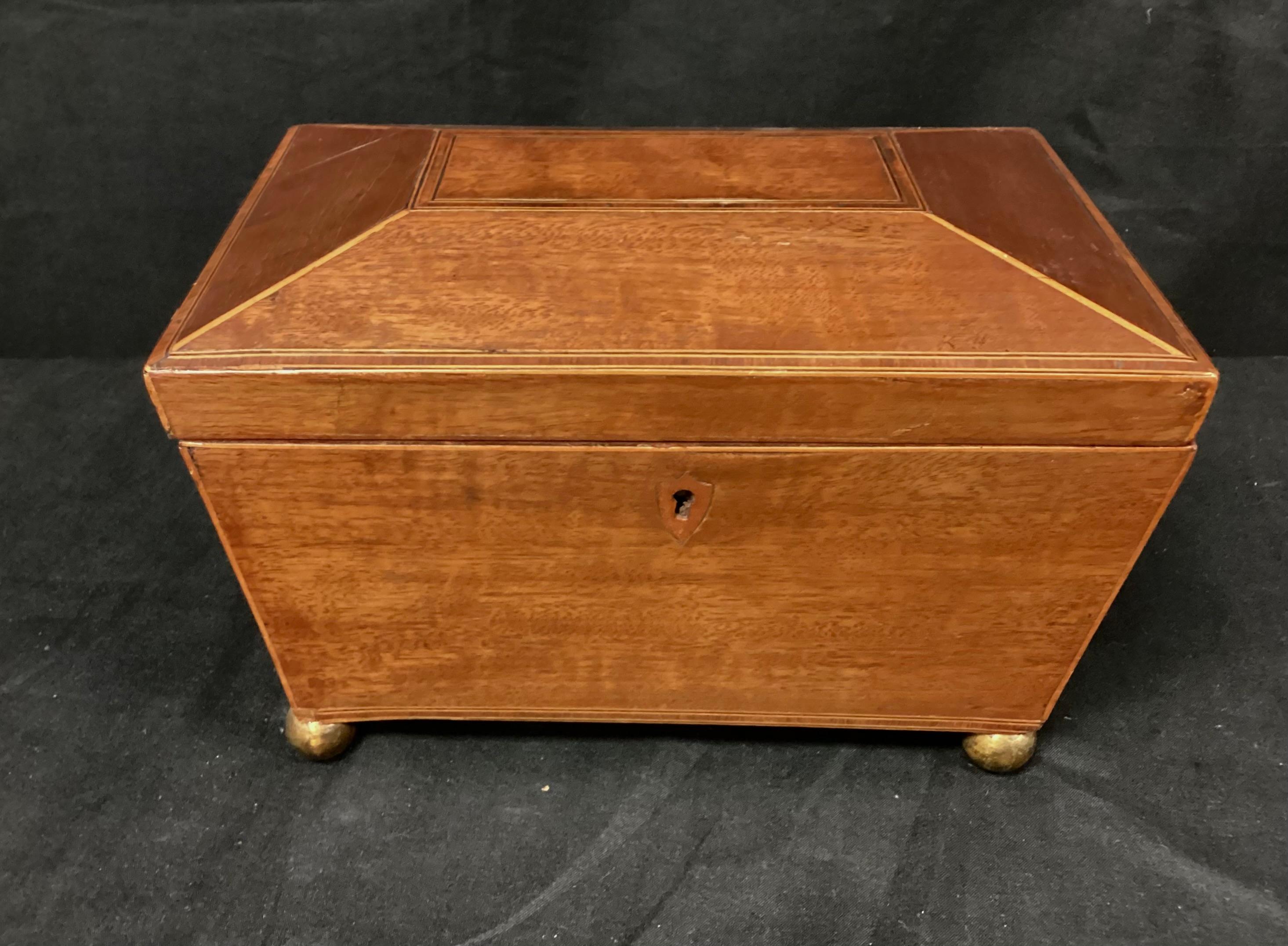 19th Century English Regency Sarcophagus Shaped Tea Caddy For Sale