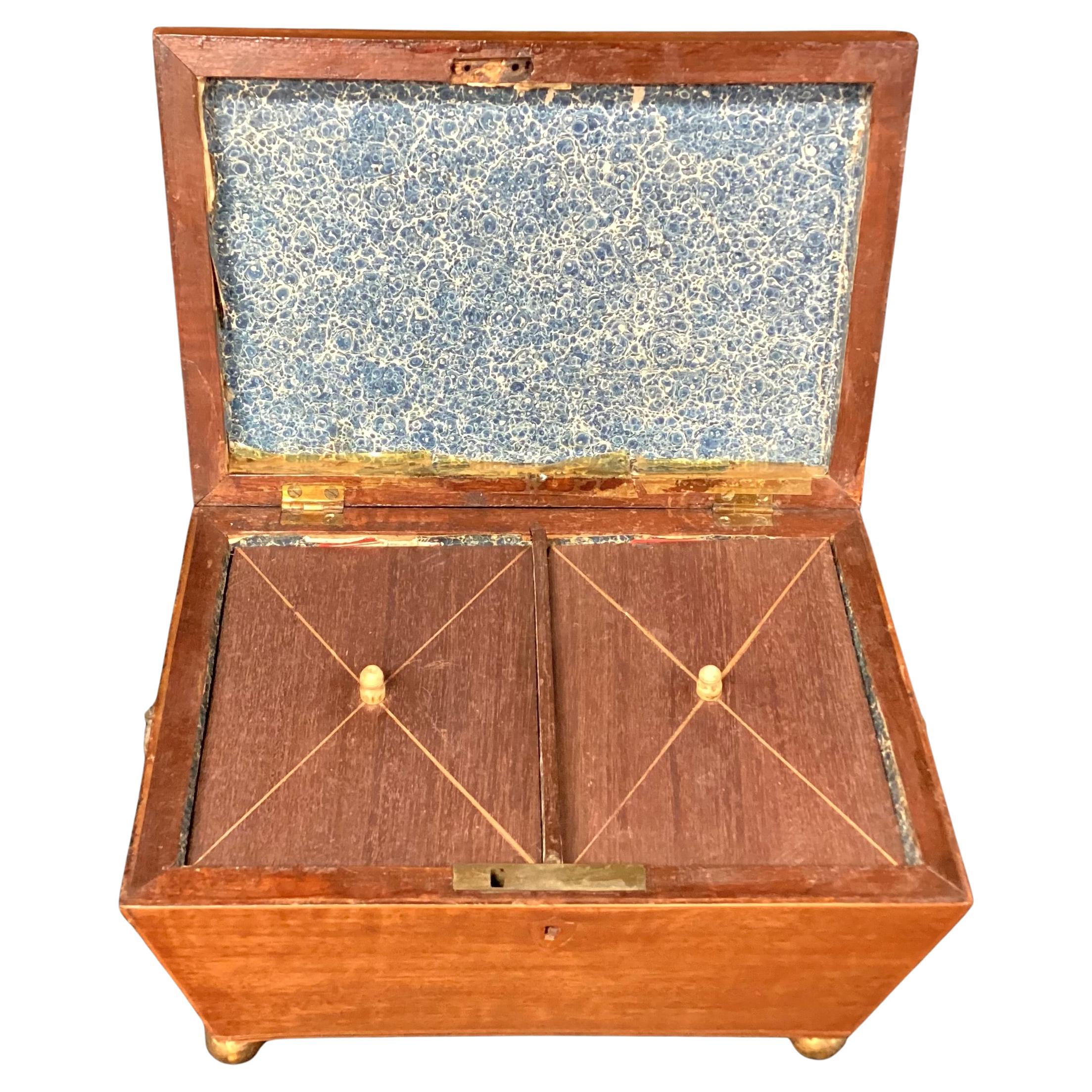 English Regency Sarcophagus Shaped Tea Caddy For Sale 1