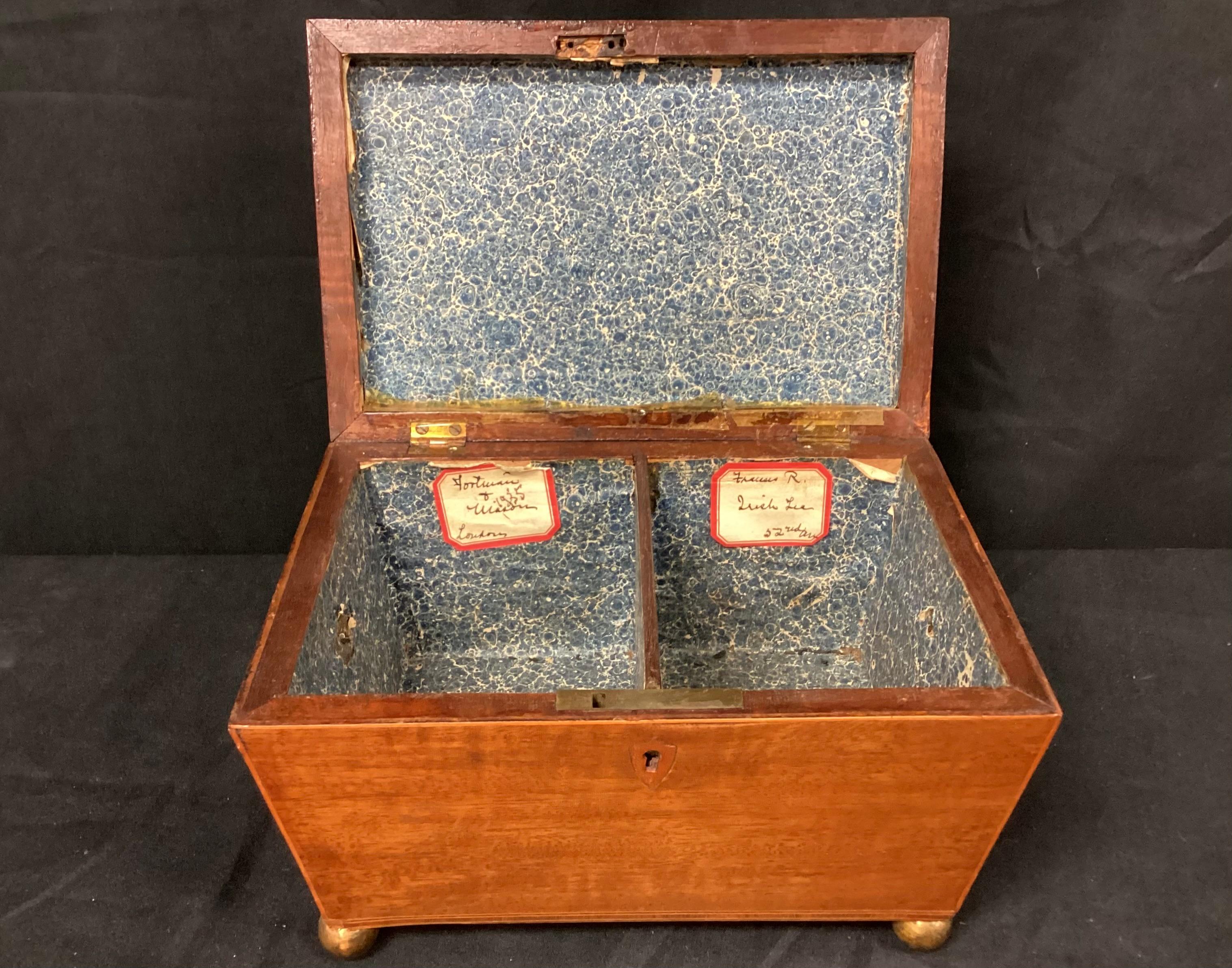 English Regency Sarcophagus Shaped Tea Caddy For Sale 2