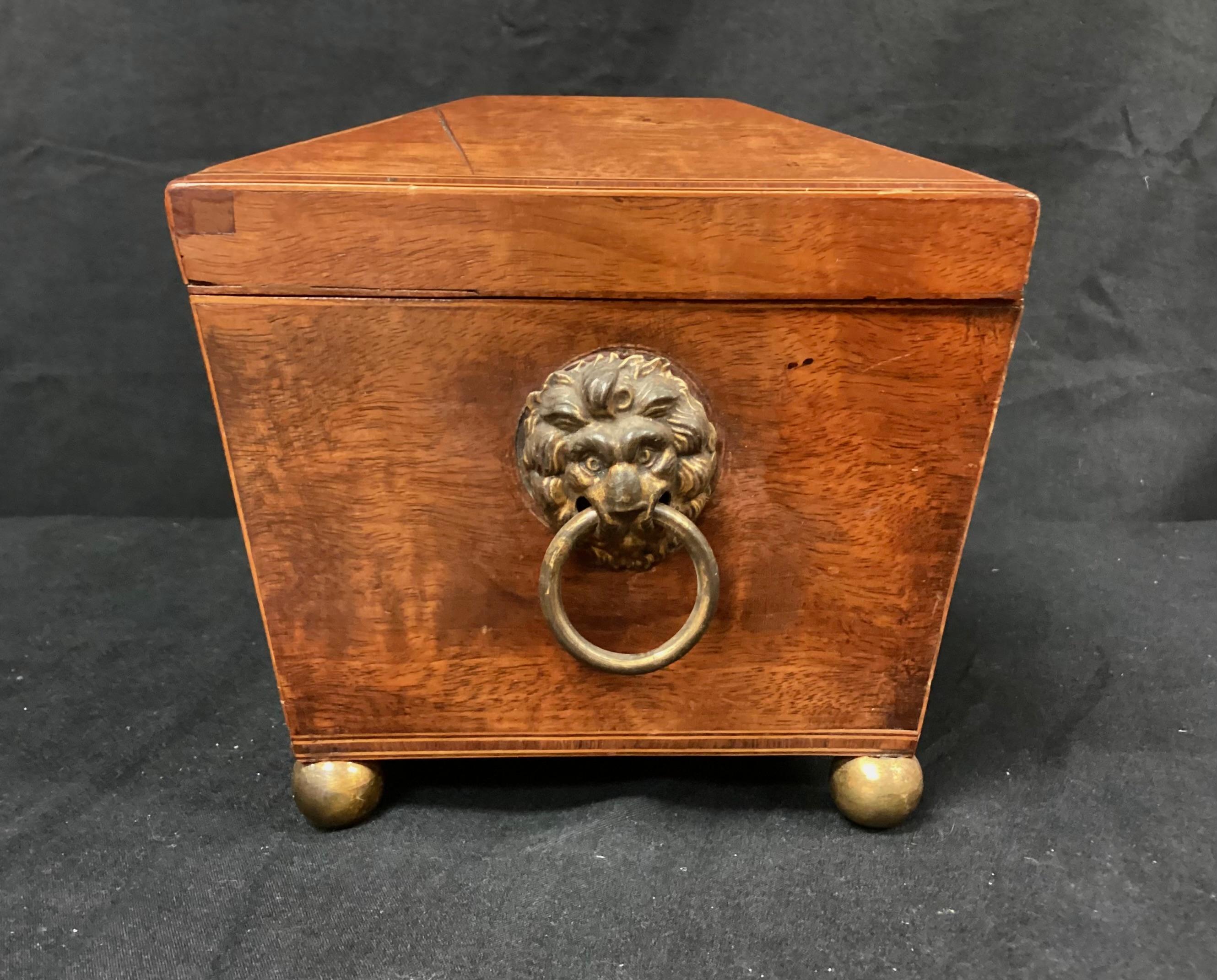 English Regency Sarcophagus Shaped Tea Caddy For Sale 3