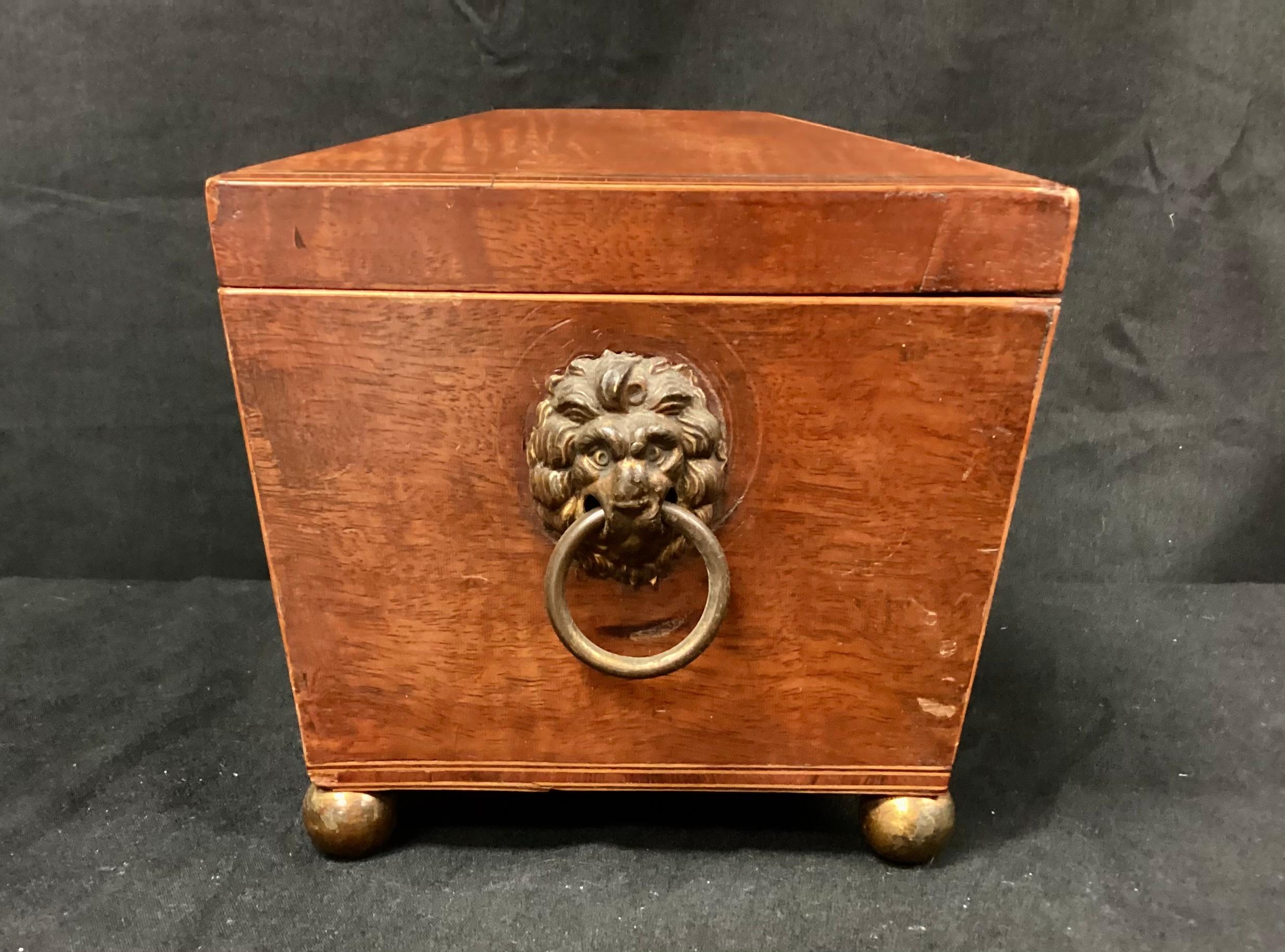 English Regency Sarcophagus Shaped Tea Caddy For Sale 4