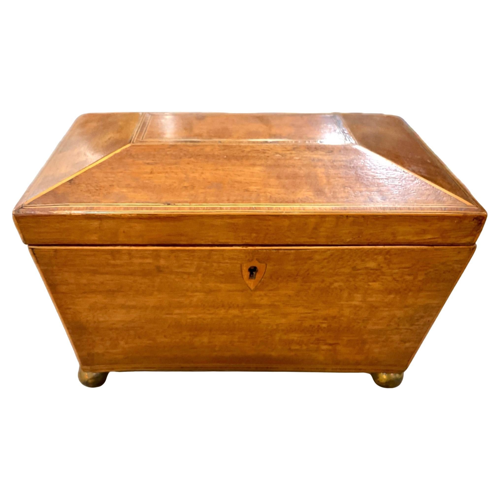 Caja para el Té con Forma de Sarcófago de la Regencia Inglesa